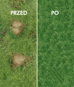 Trawa regeneracyjna Barenbrug SOS Quick Repair 15kg