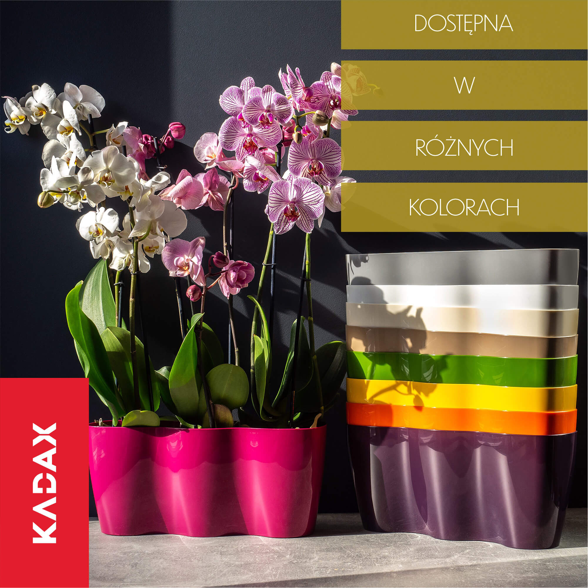 Doniczka do storczyków potrójna Fermo 35 x 12 cm, kremowa