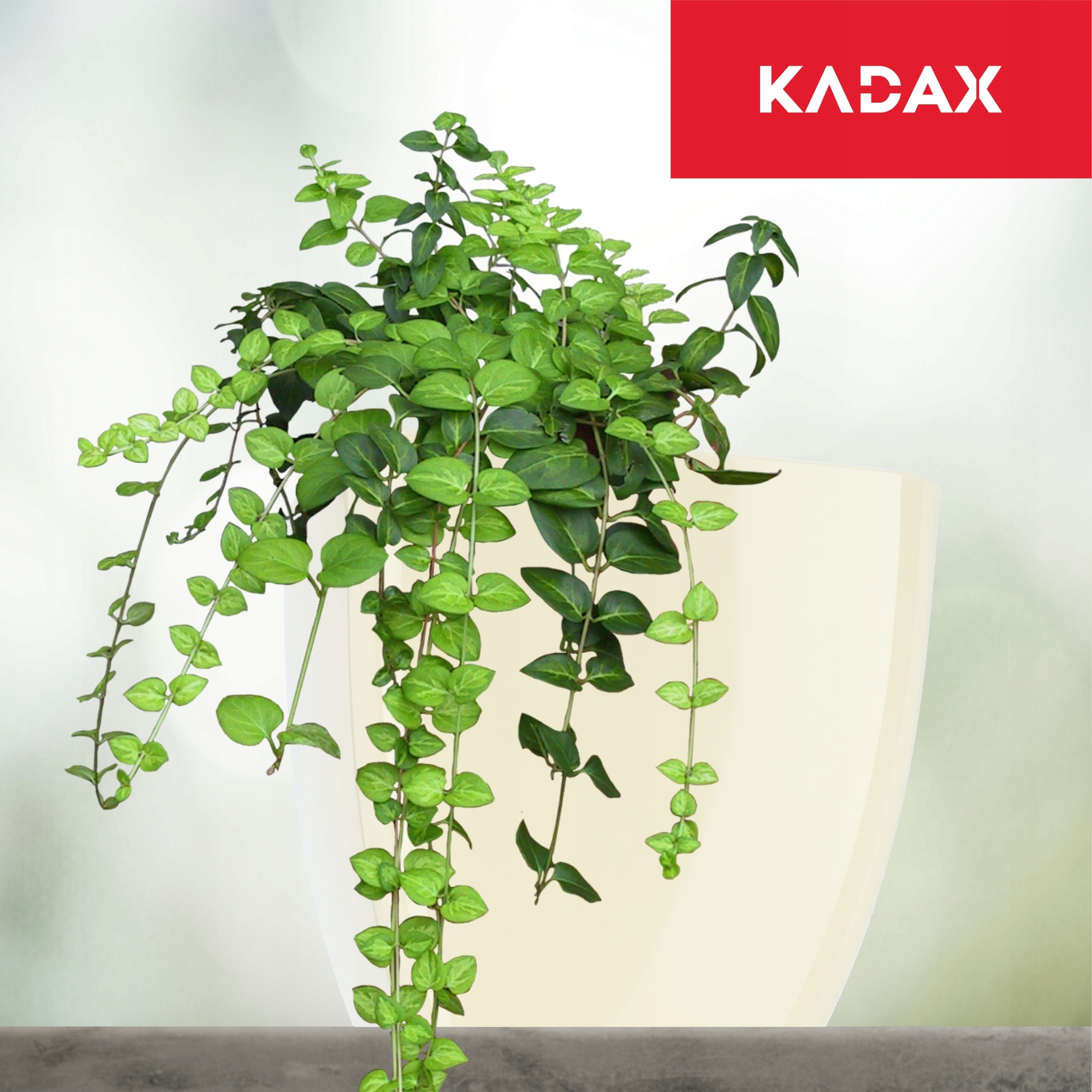 Doniczka kwadratowa Borgo 20 cm, kremowa