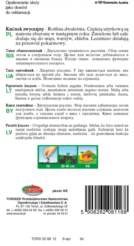 Kminek zwyczajny Carum carvi 2g