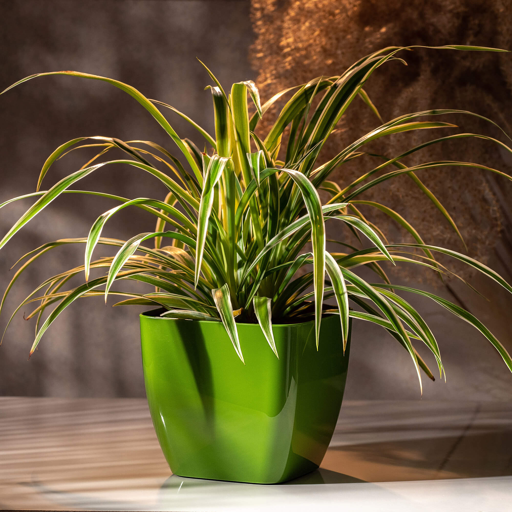 Doniczka kwadratowa Borgo 8 cm, zielona