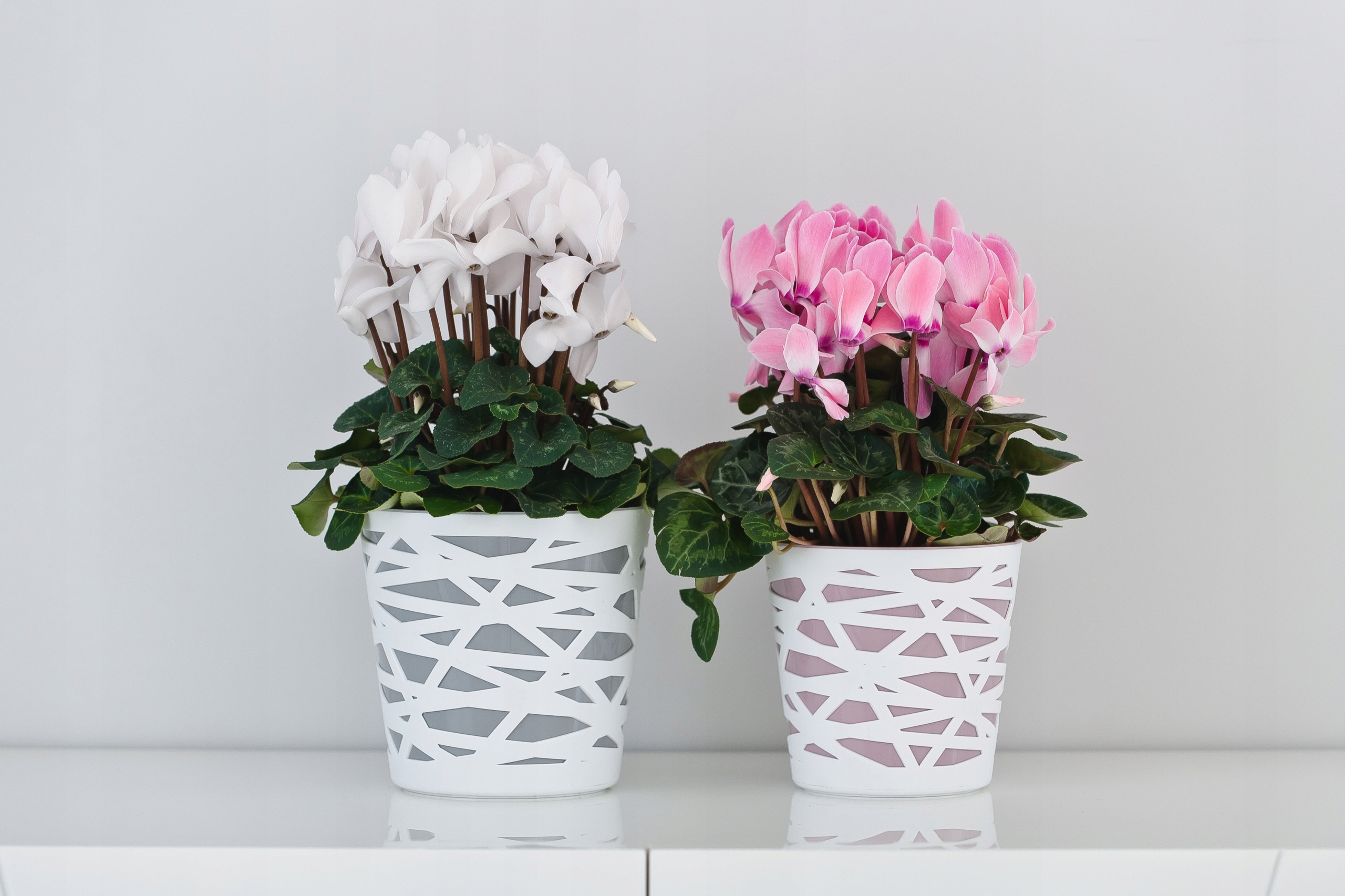 Doniczka z wkładem Rusio 17 cm, różowa