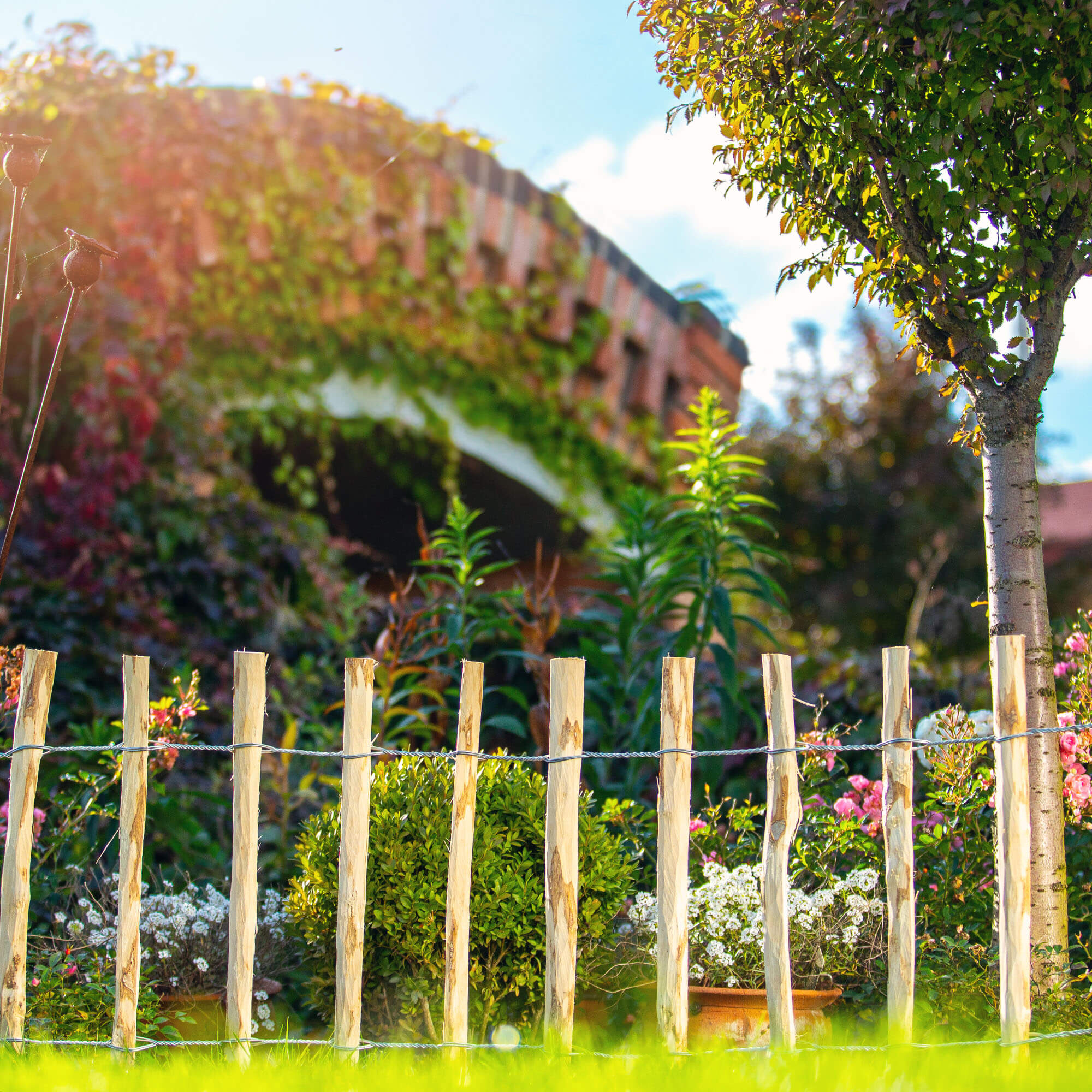 Płot ogrodowy leszczynowy Karo 500 x 50 cm (7-9 cm)