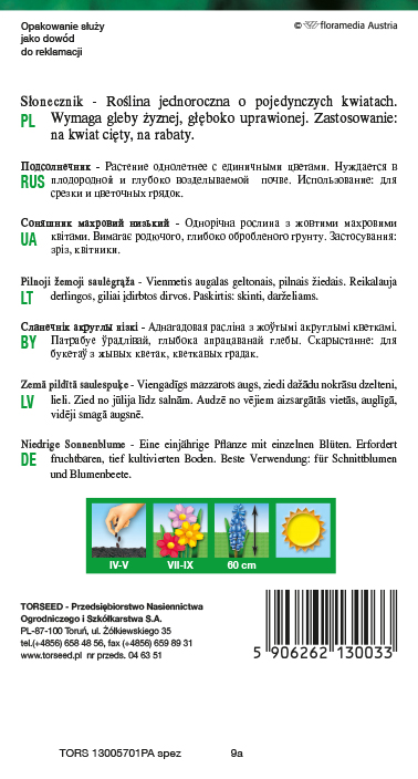 Słonecznik kwiatowy - Helianthus annuus pojedynczy niski żółty 2g