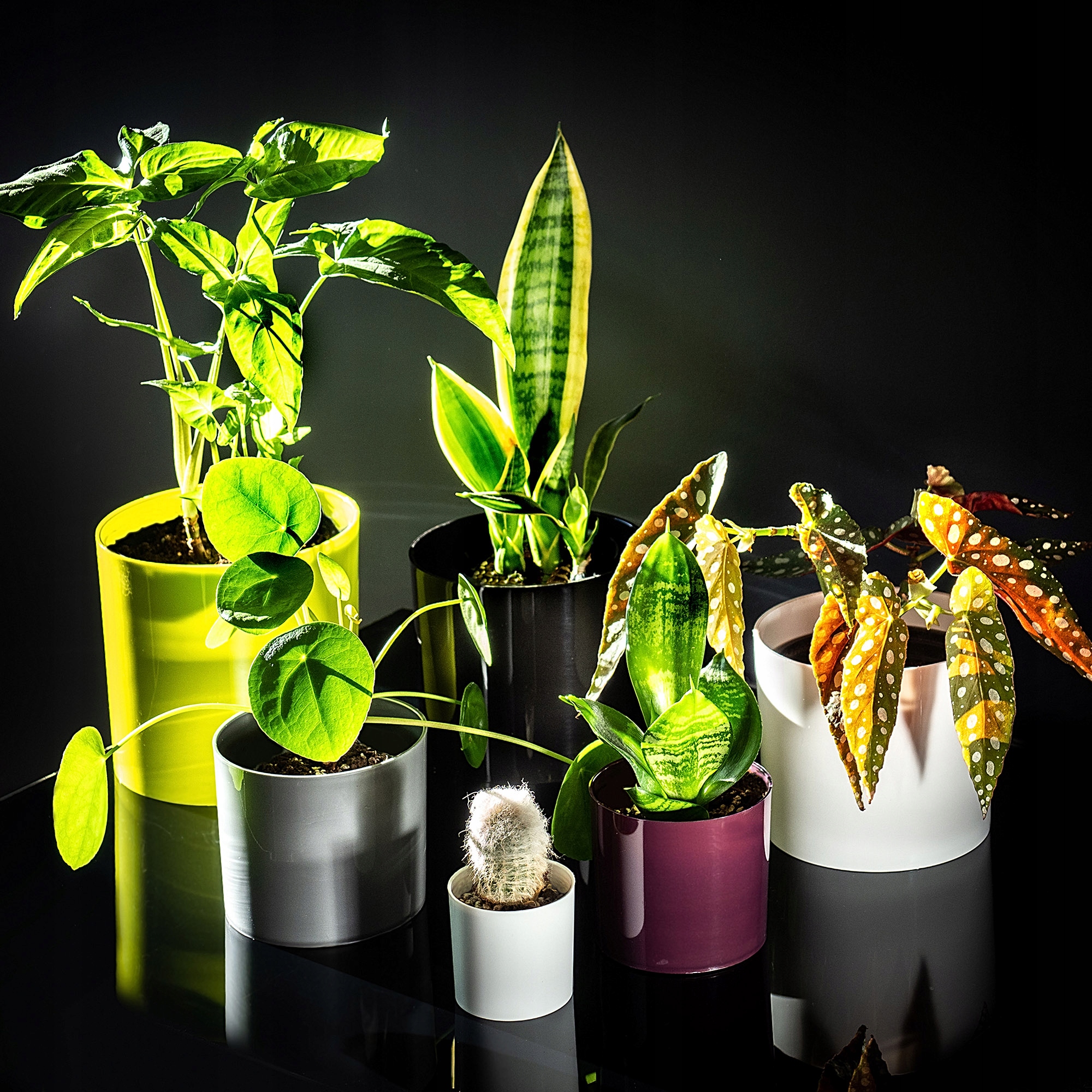 Doniczka na kwiaty okrągła Figari 11 cm, srebrna