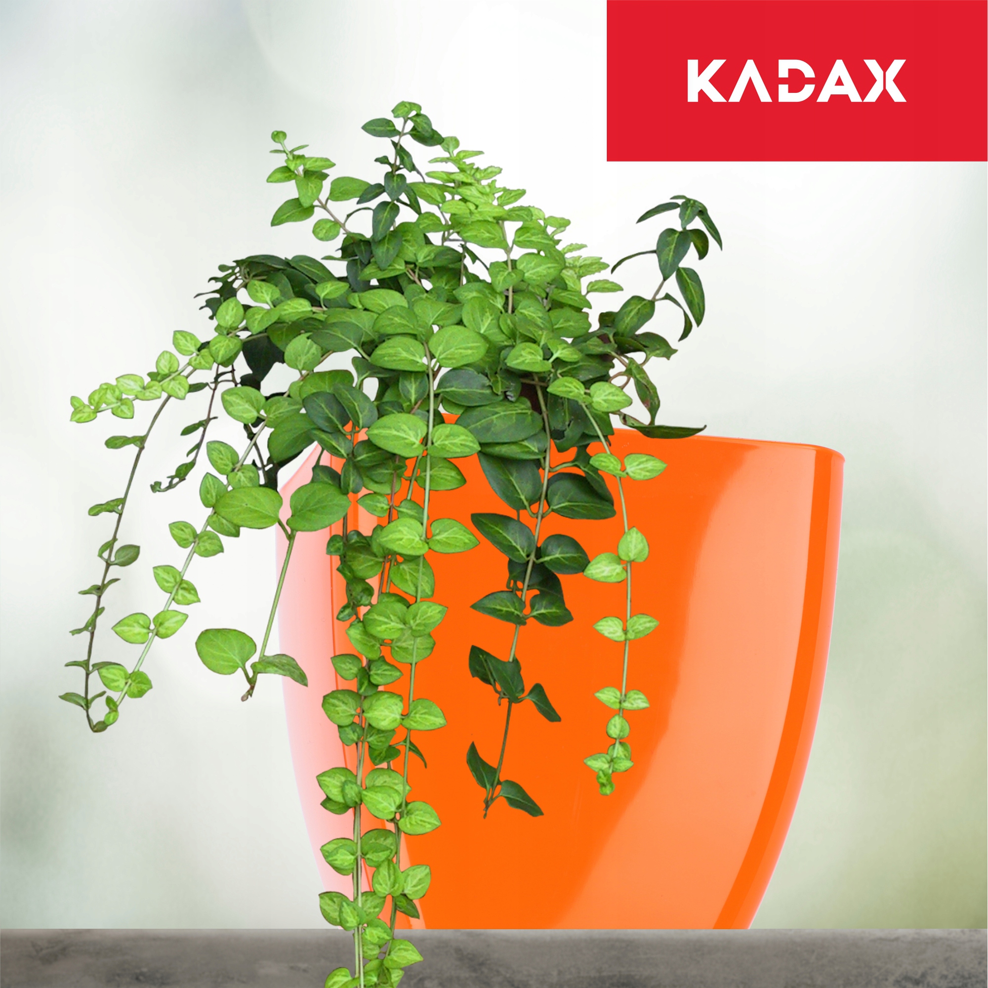 Doniczka kwadratowa Borgo 17 cm, pomarańczowa