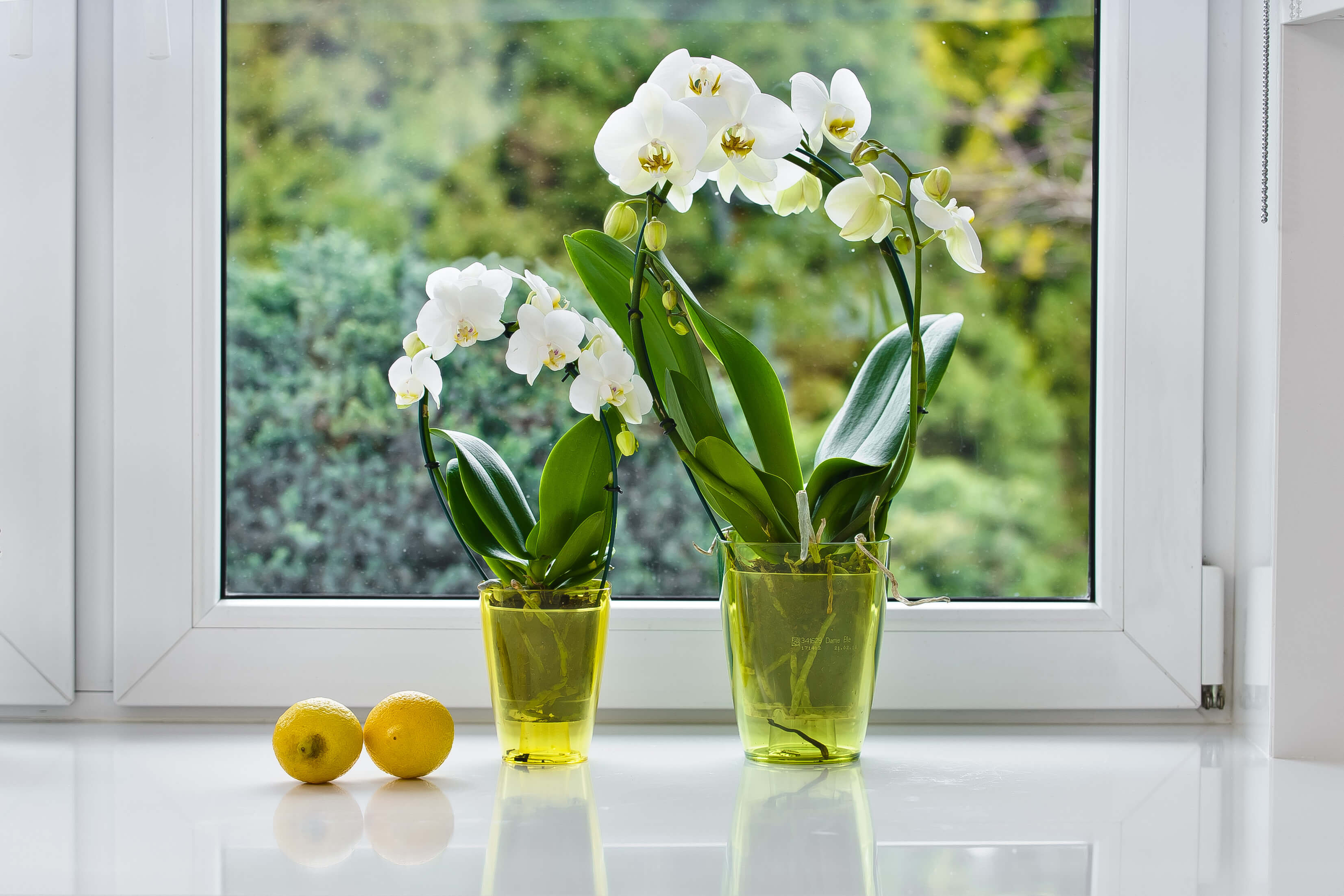 Doniczka kwadratowa Menfi 9 cm, zielona