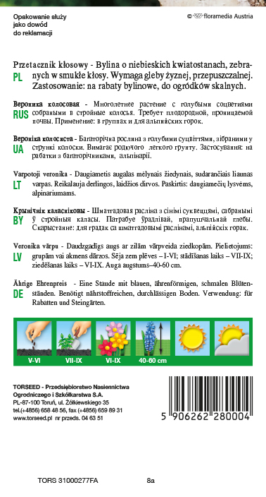 Przetacznik kłosowy - Veronica spicata intensywnie niebieski 0,2g