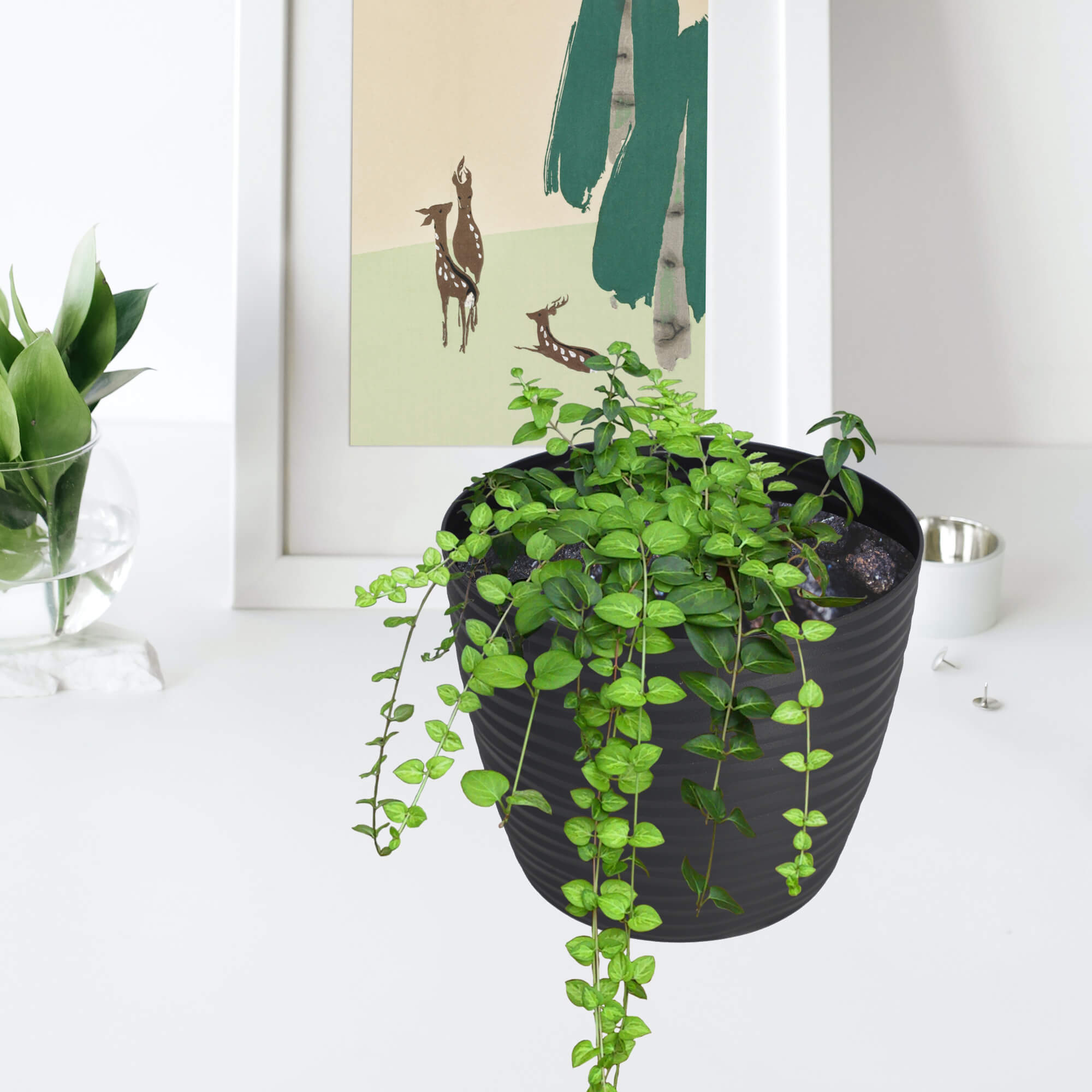Doniczka na kwiaty z podstawką 17 cm, antracytowa