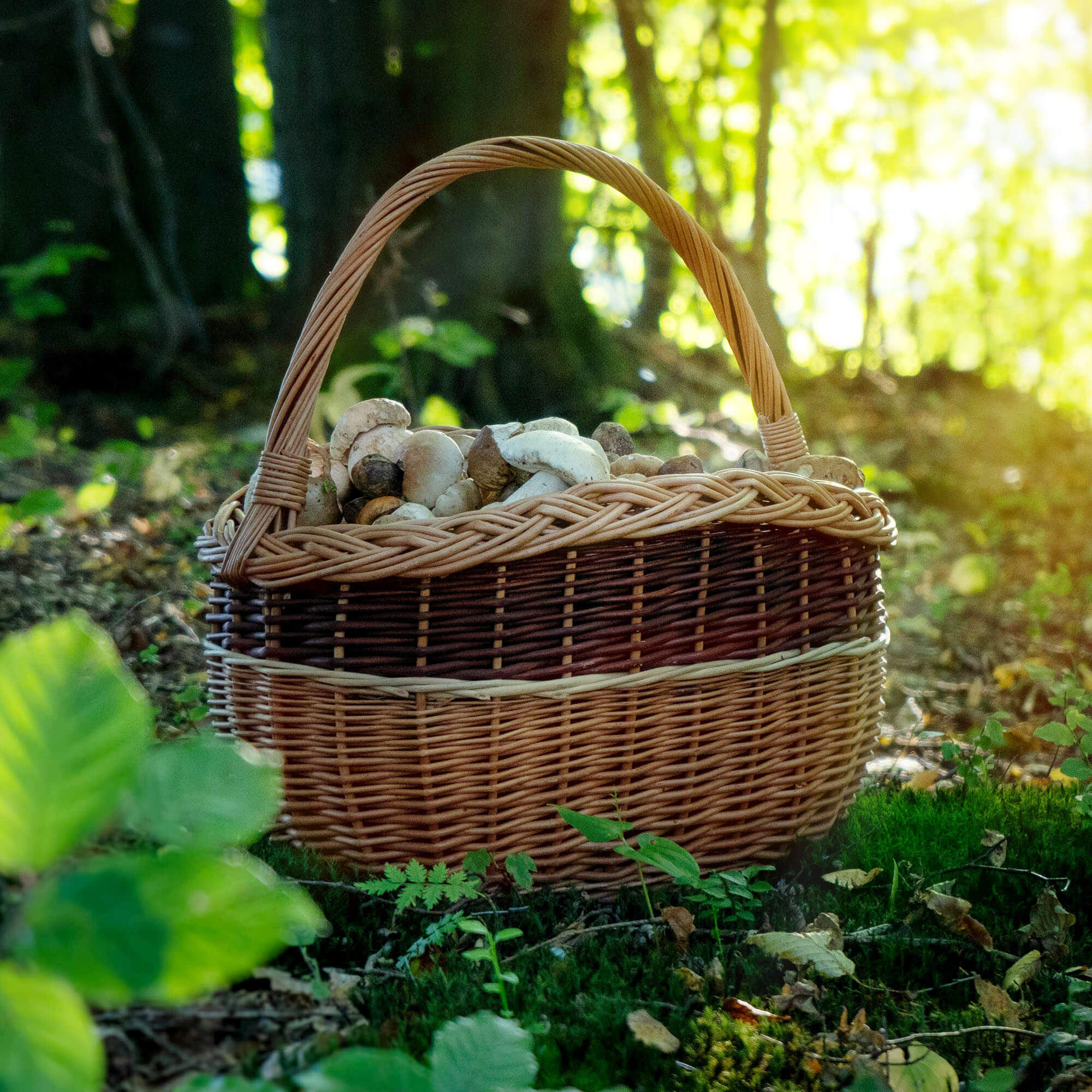 Kosz wiklinowy Anfo 43 x 30 cm, naturalny