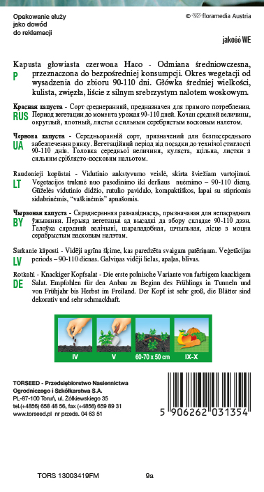 Kapusta głowiasta czerwona Haco 1g