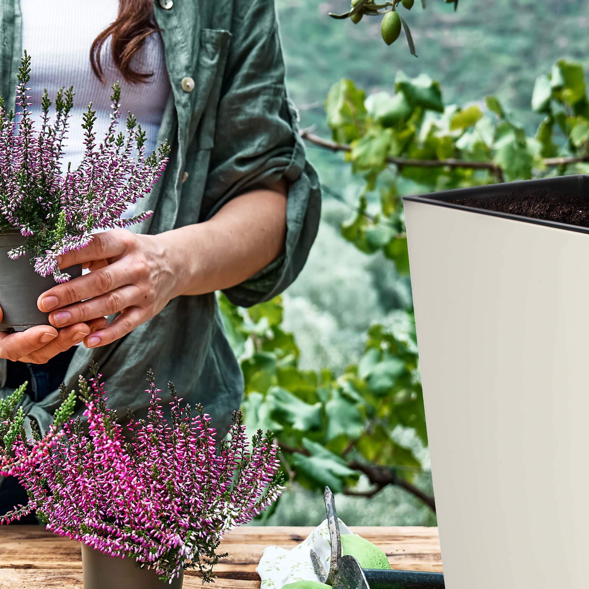 Donica ogrodowa Sorbo 56 x 19 cm, kremowa