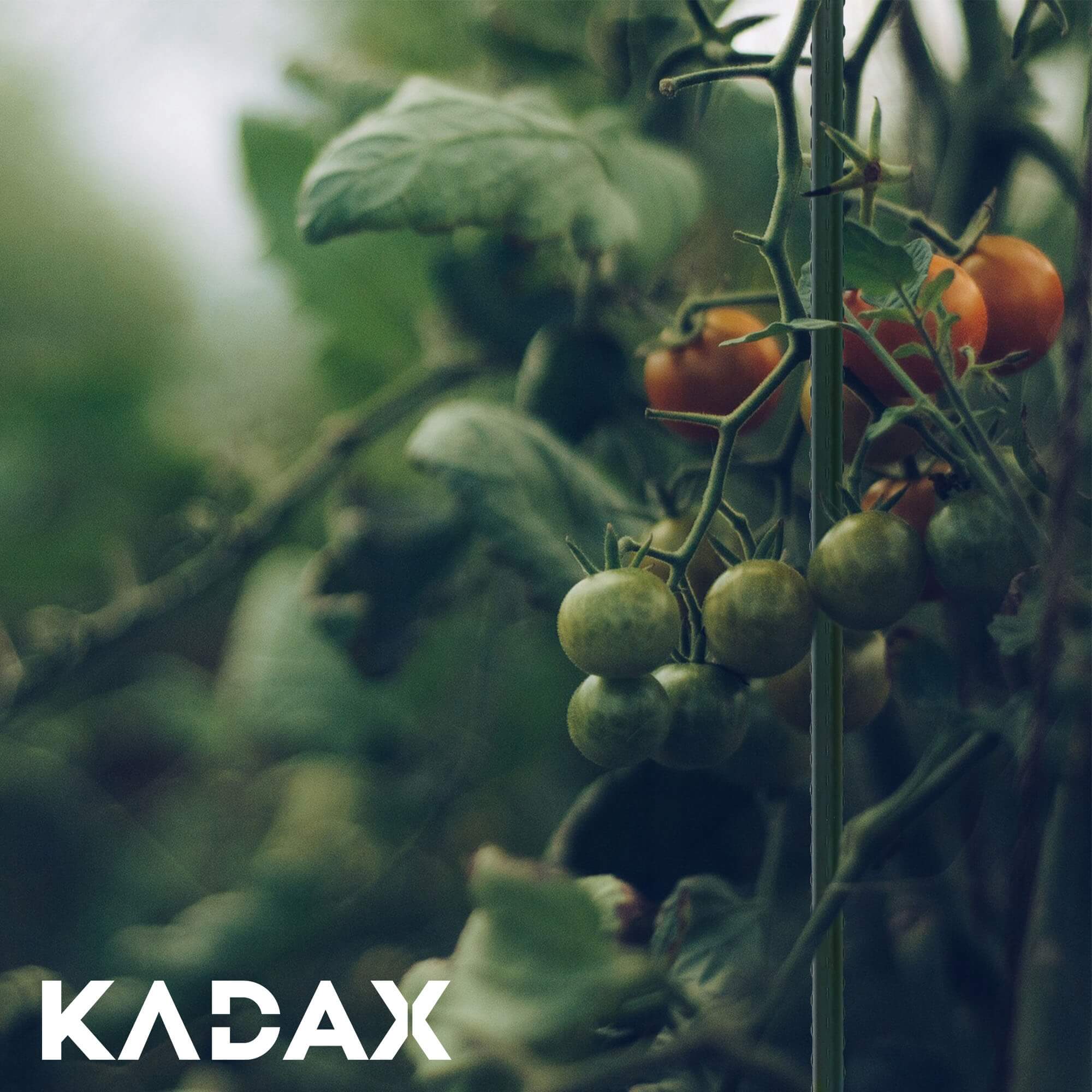 Podpora do roślin 180 + 120 cm 20 szt.