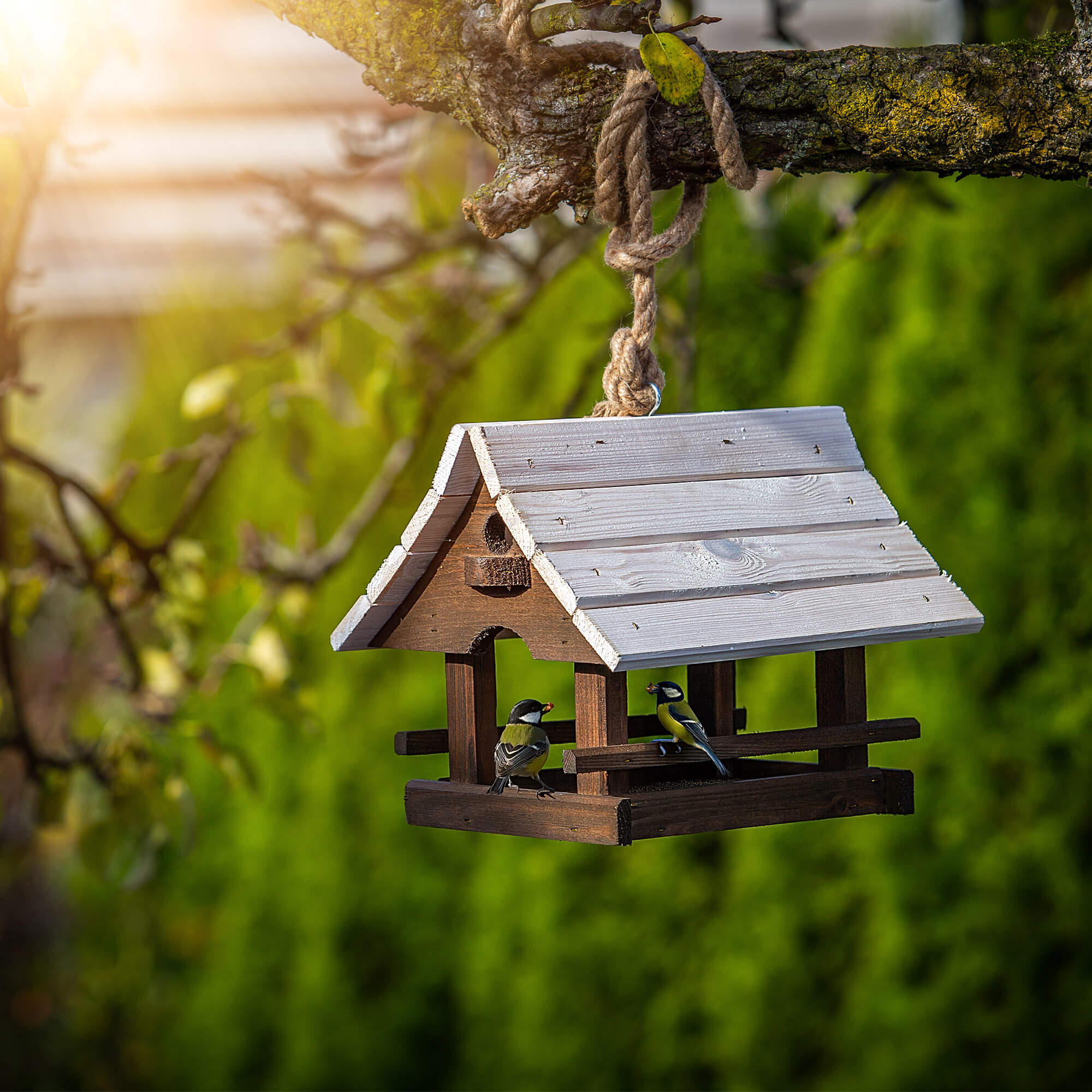 Karmnik dla ptaków Arbis domek 30 x 25 cm brązowo-biały