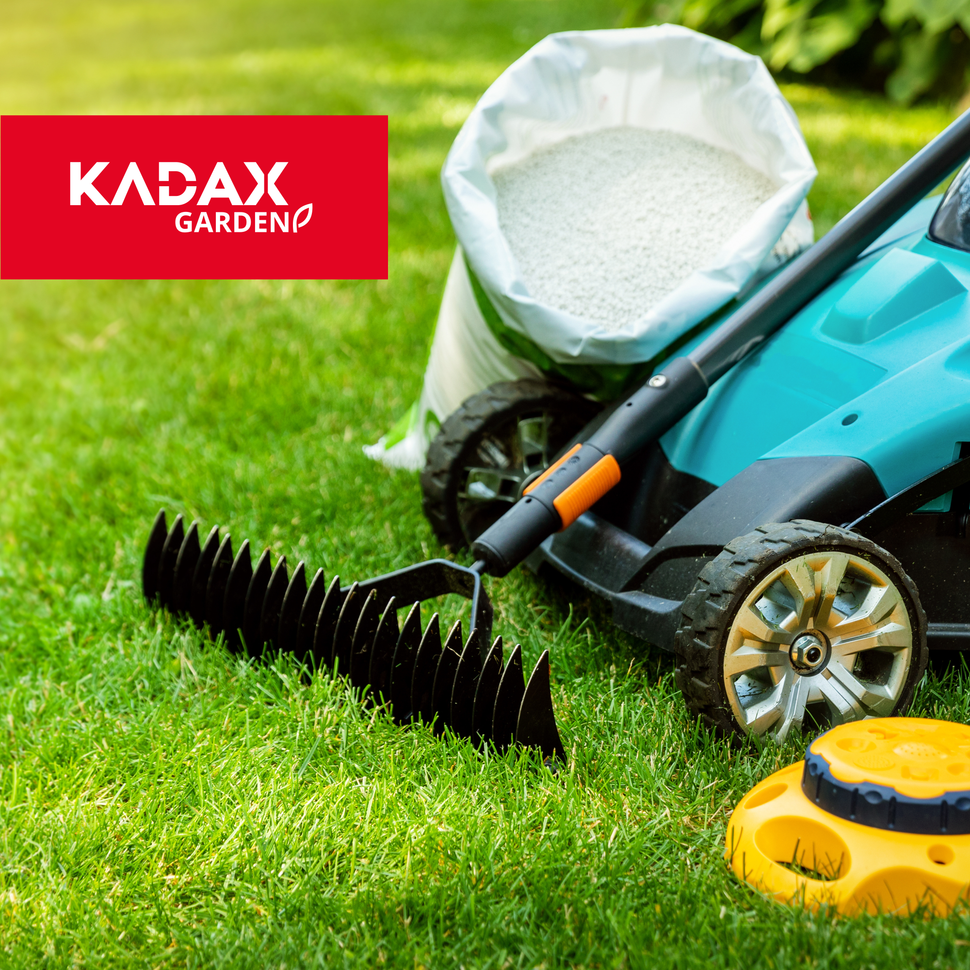 Trawa uniwersalna Riset szybko zagęszczająca 2 kg 100 m2