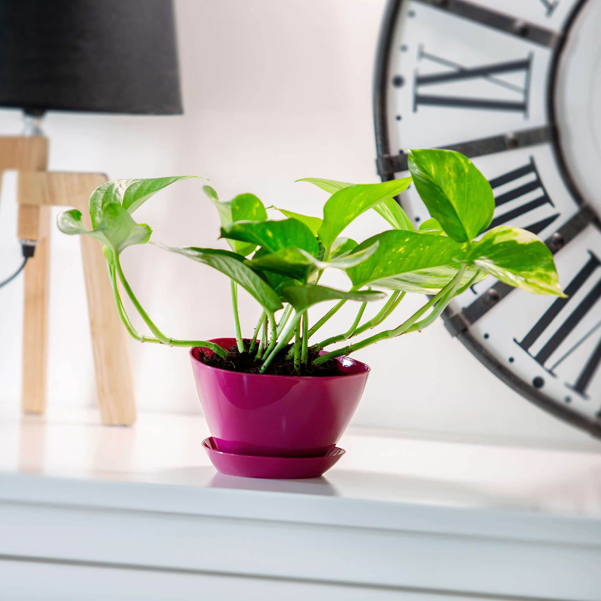 Doniczka trójkątna z podstawką 18 x 12 cm, amarantowa