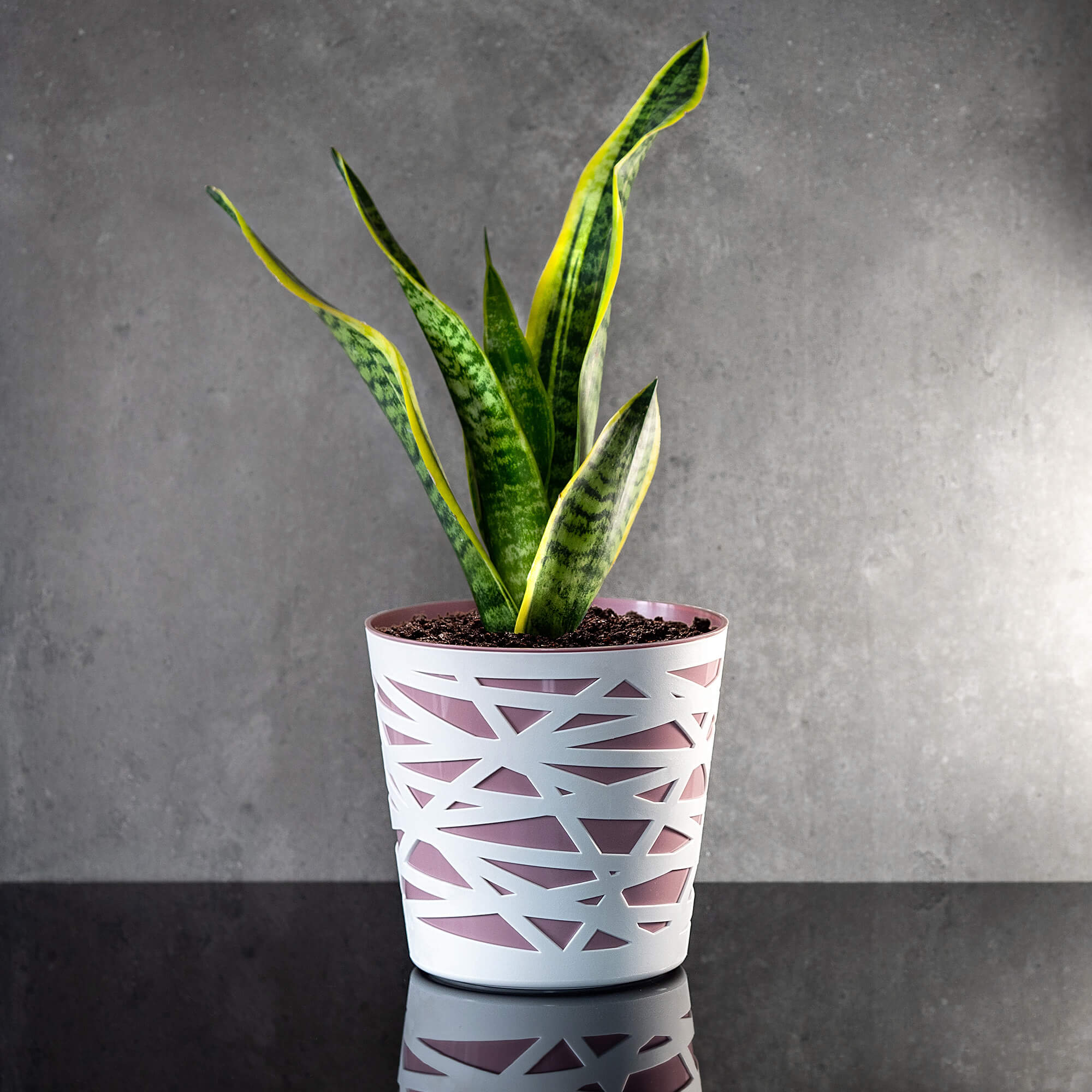 Doniczka z wkładem Rusio 19 cm, różowa