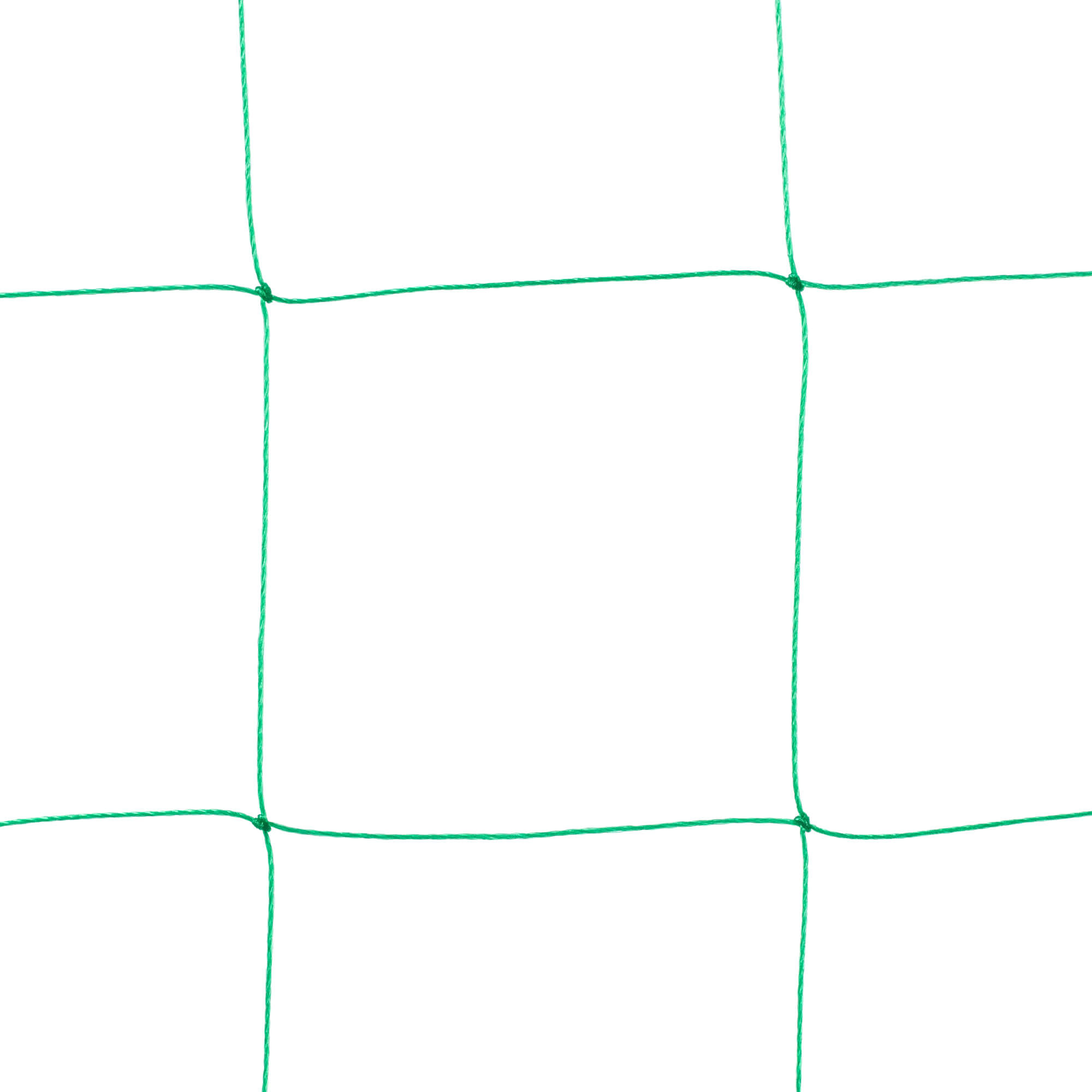 Siatka ogrodowa do roślin pnących Loudun 1.8 x 3.6 m zielona