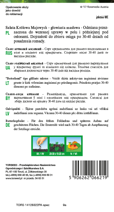 Sałata głowiasta masłowa (do uprawy w tunelach i w polu) Królowa Majowych 2g