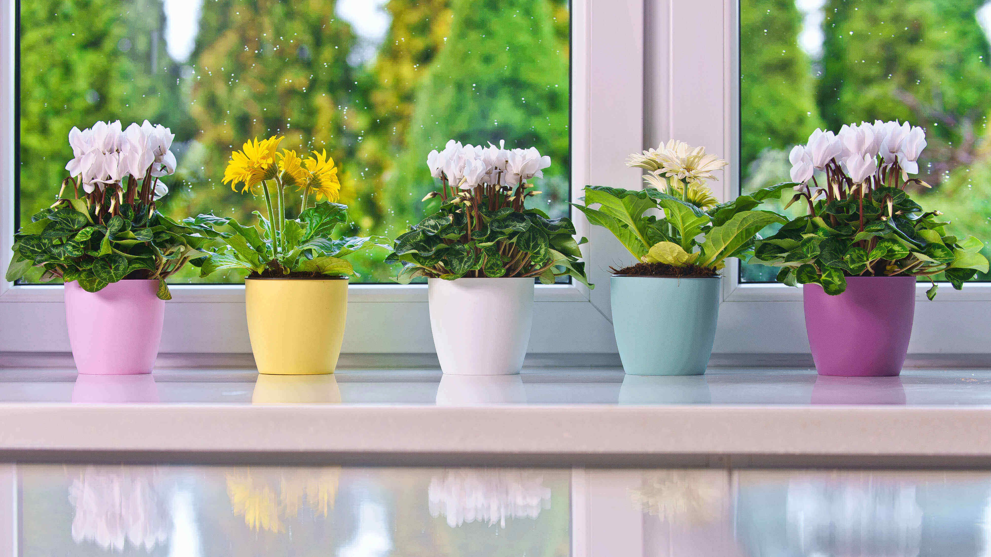 Doniczka Agen z podstawką 16 cm, matowa biała