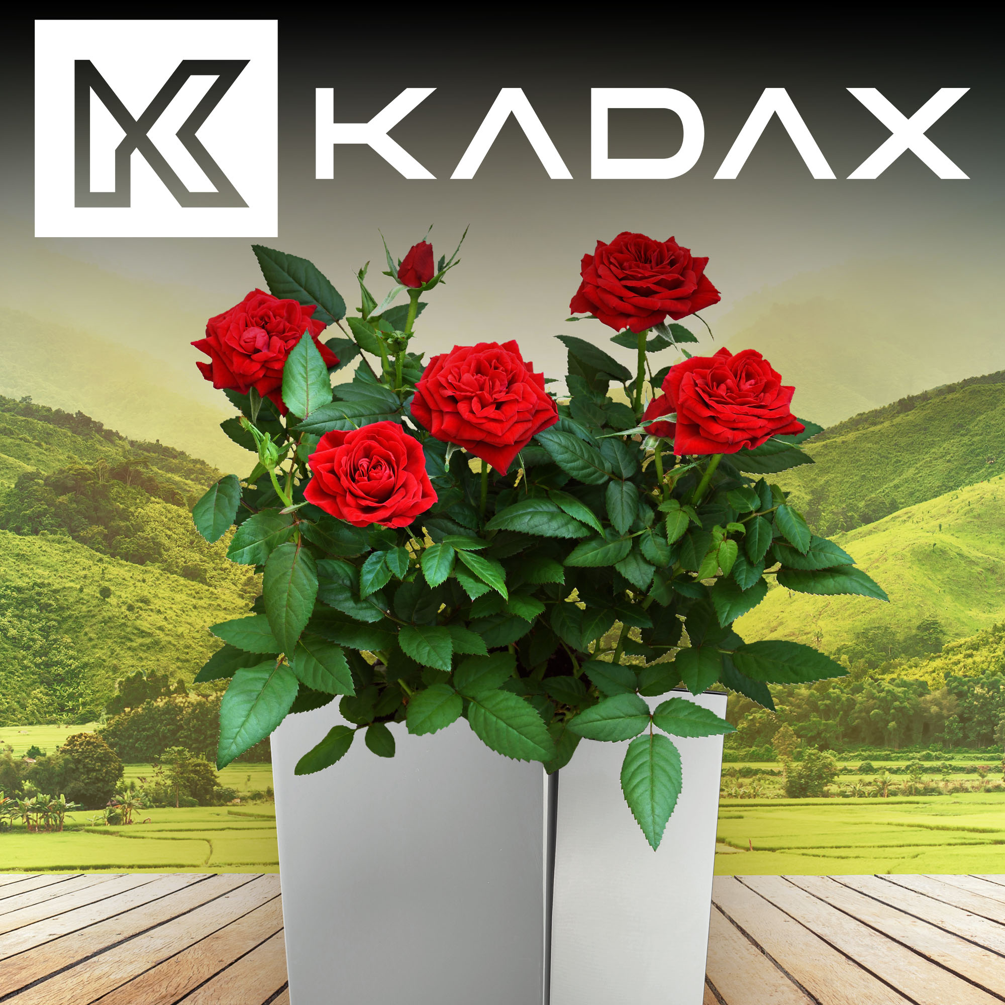 Donice na kwiaty z wkładem Masiera 19 cm + 24 cm+ 29 cm, szare