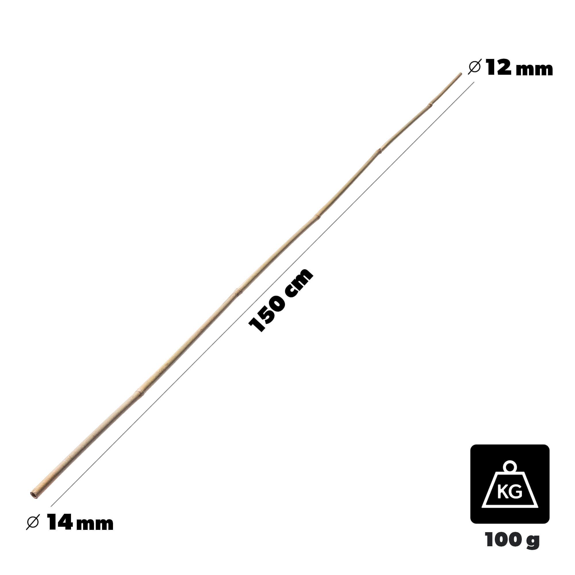 Bambusowa podpora ogrodowa Rai 150 cm x 12-14 mm 25 szt.