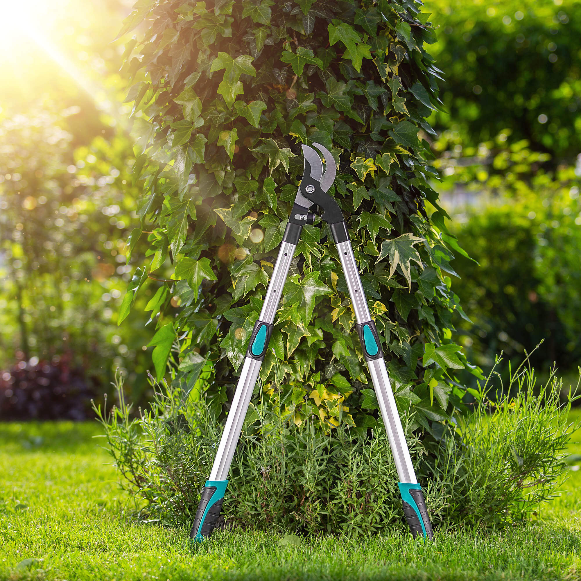 Sekator teleskopowy do gałęzi 96 cm niebieski