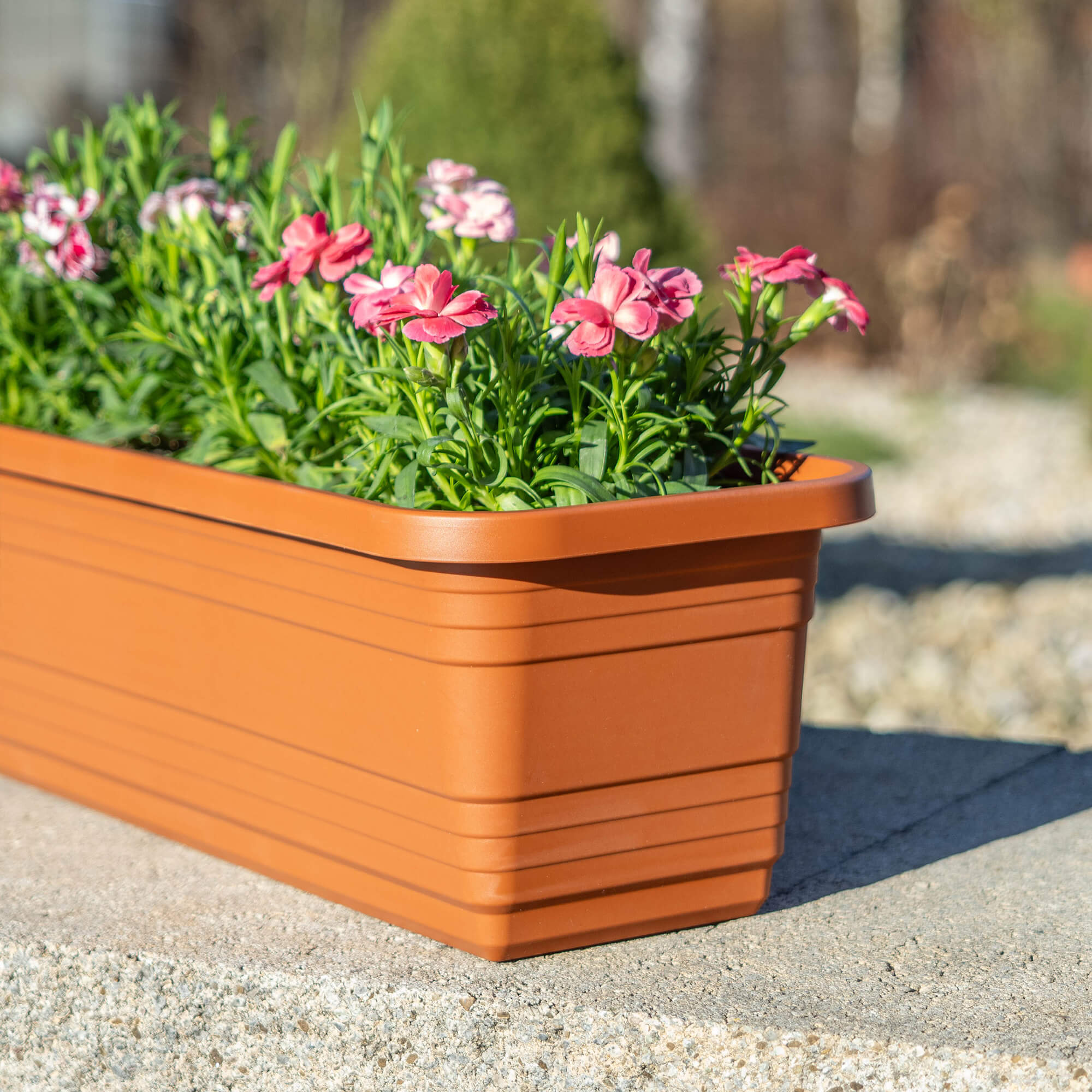 Skrzynka balkonowa Paulin 50cm terrakota