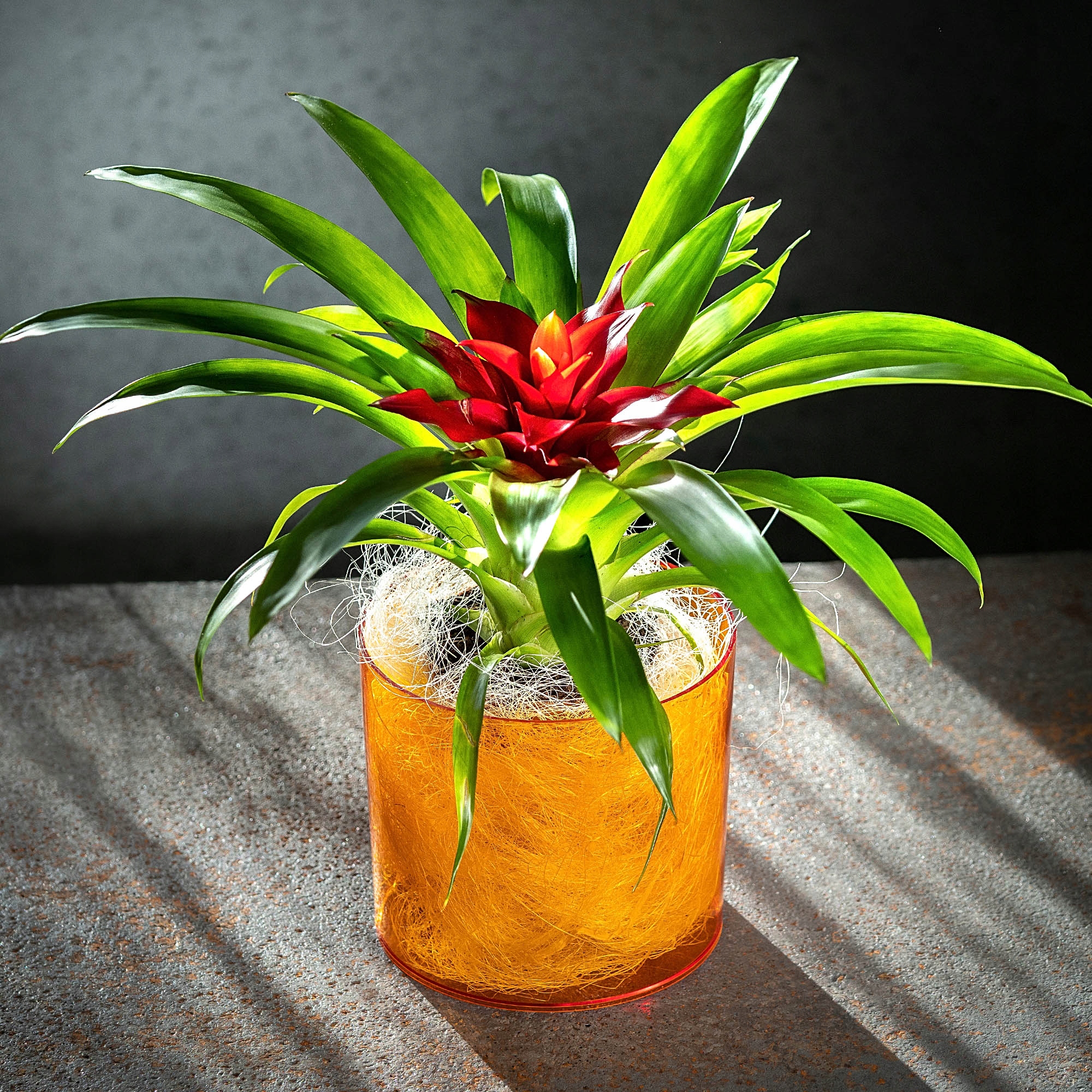 Doniczka na kwiaty okrągła Figari 14 cm, pomarańczowa