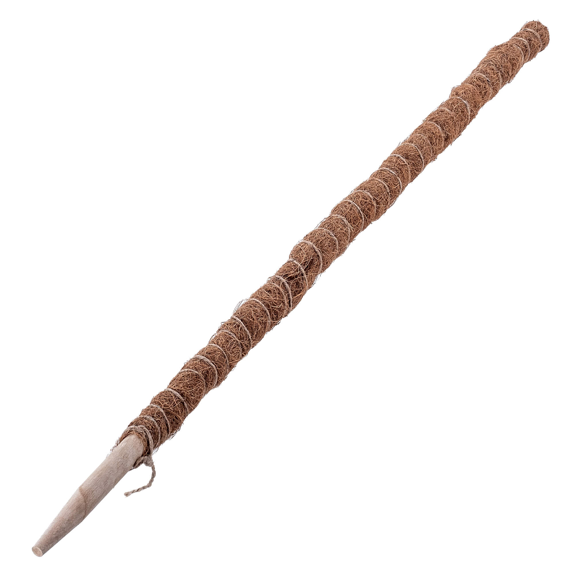 Tyczka do roślin kokosowa Cande 150 cm podpora doniczkowa 3 szt.