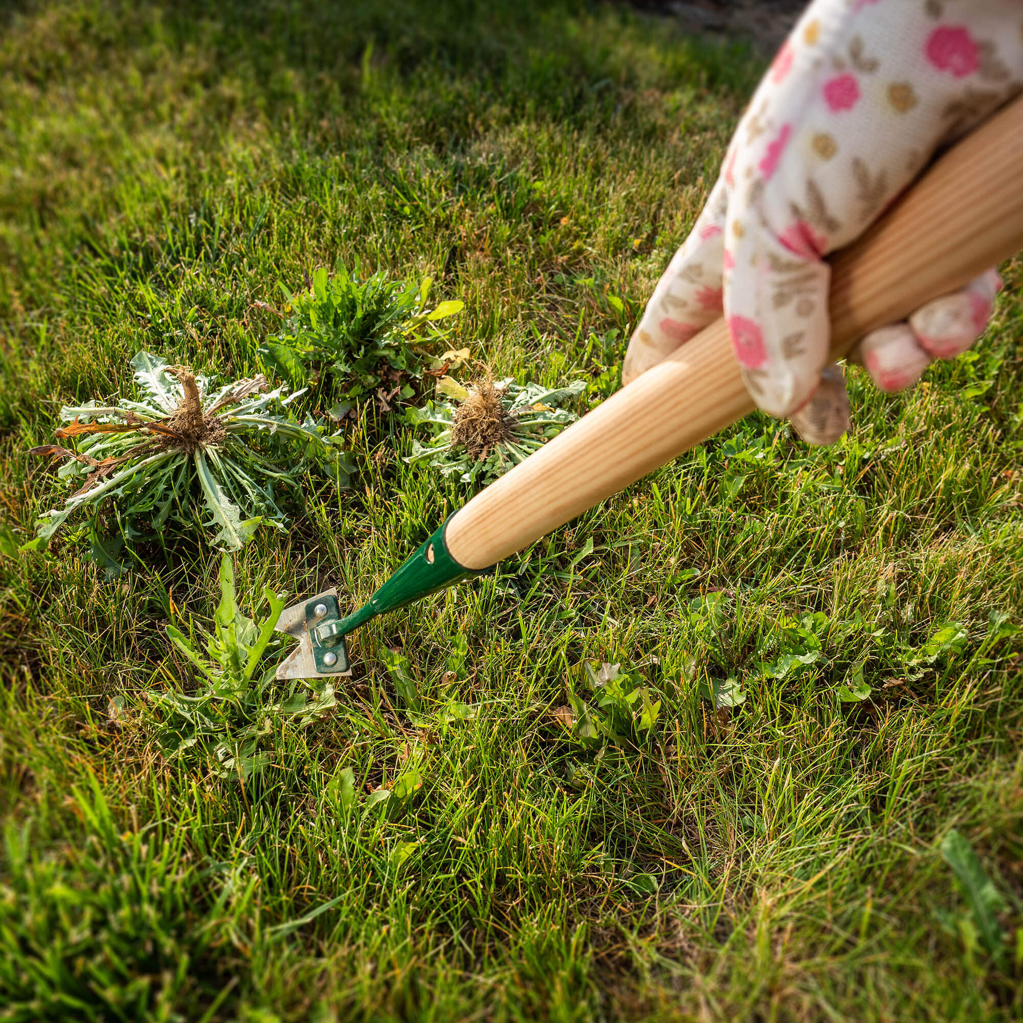 Wycinak do chwastów Balgau, metalowy 69 x 3 cm, zielony