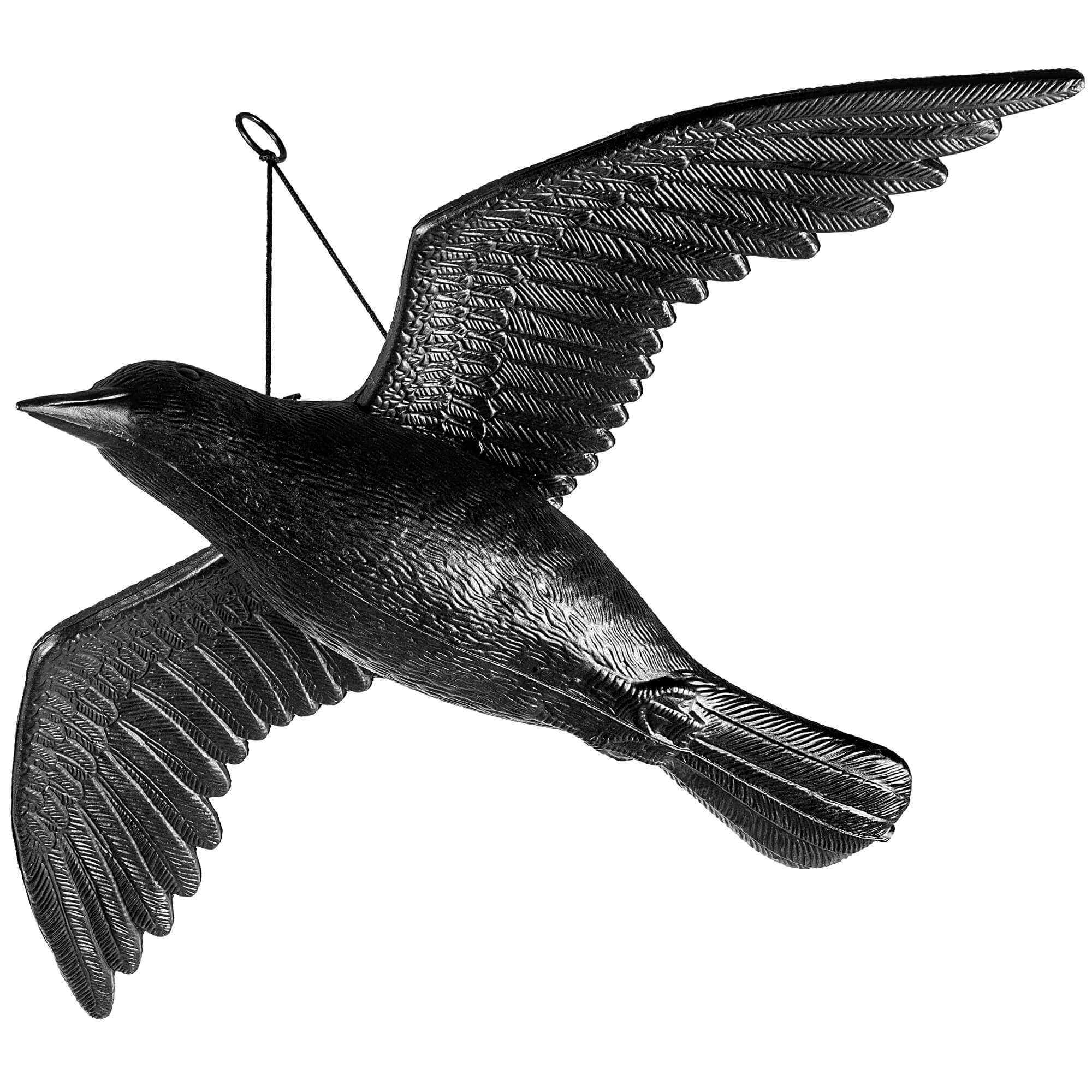 Duży kruk w locie 56cm, odstraszacz ptaków