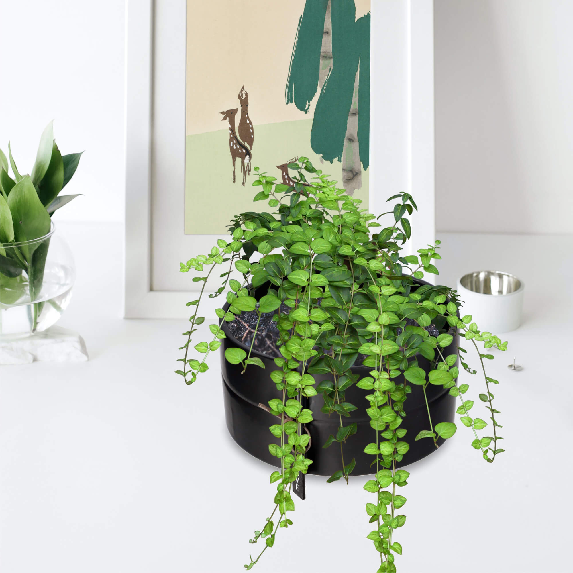 Osłonka Lemps na kwiaty ceramiczna 9 x 18 cm, czarna
