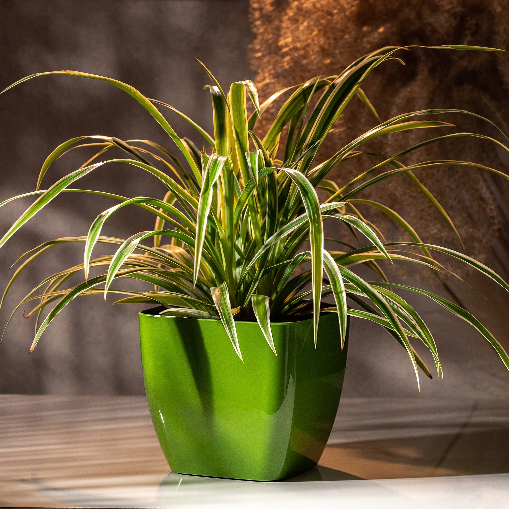 Doniczka kwadratowa Borgo 14 cm, zielona