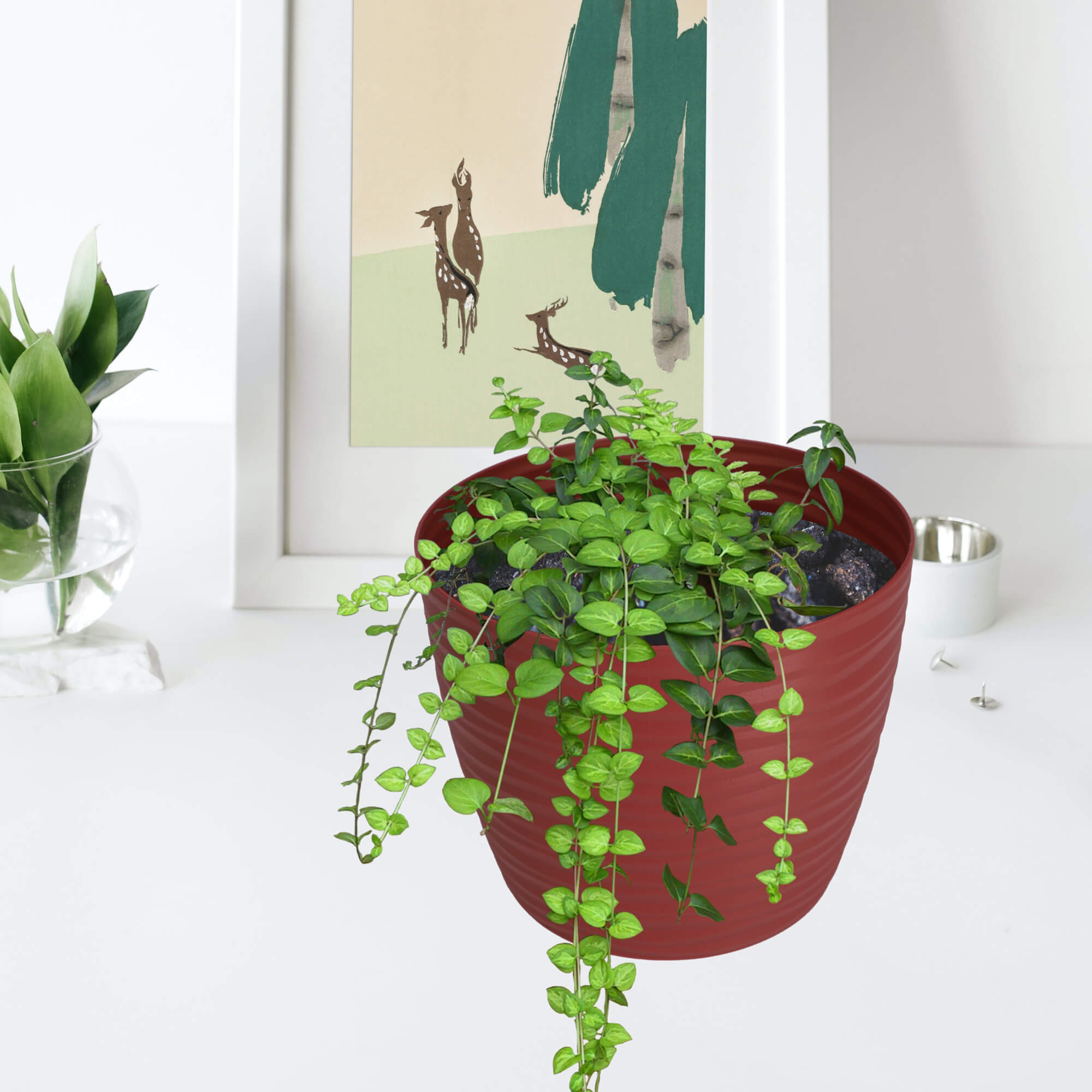 Doniczka na kwiaty okrągła z podstawką 13 cm, bordowa