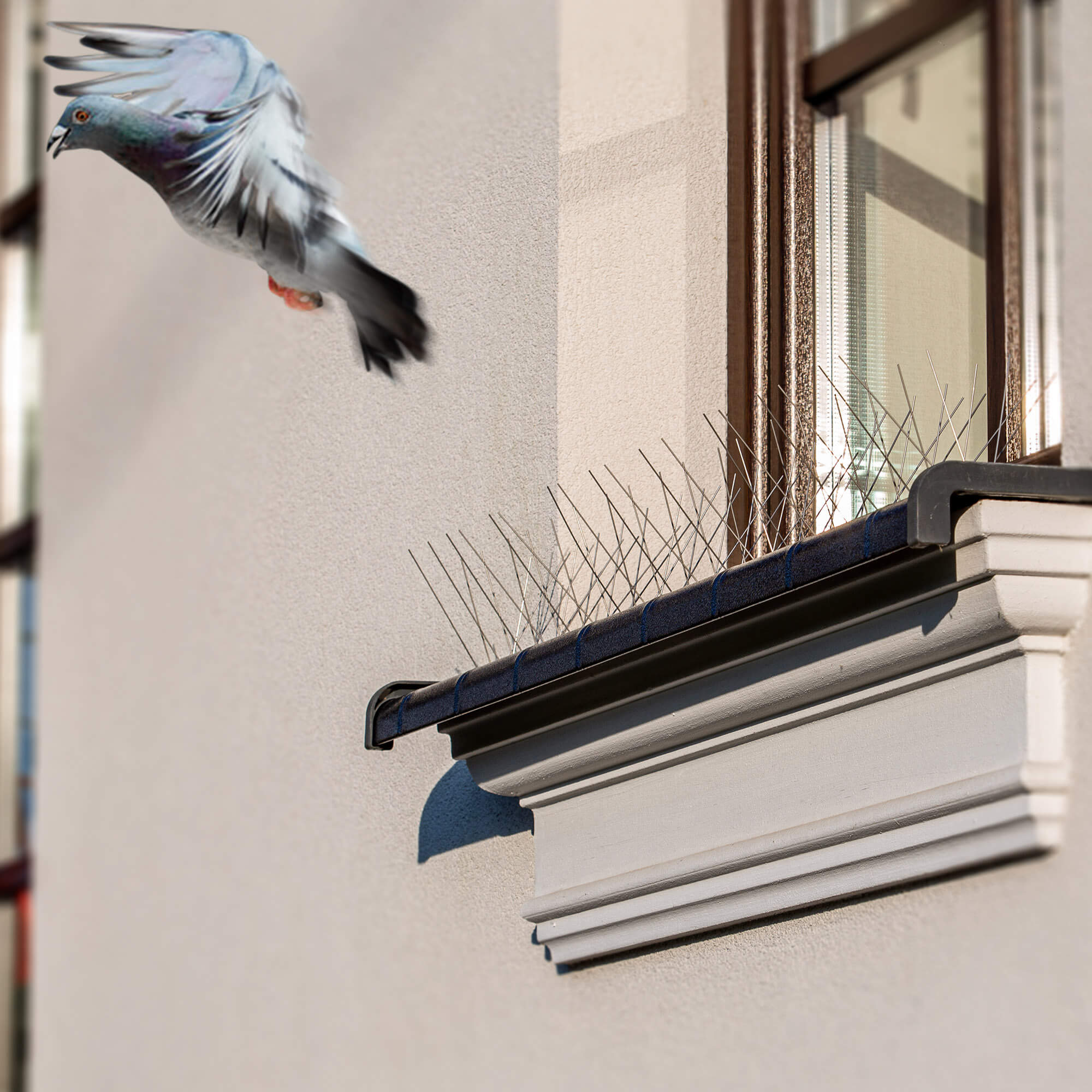 Kolce na ptaki 33 x 17 cm, srebrne