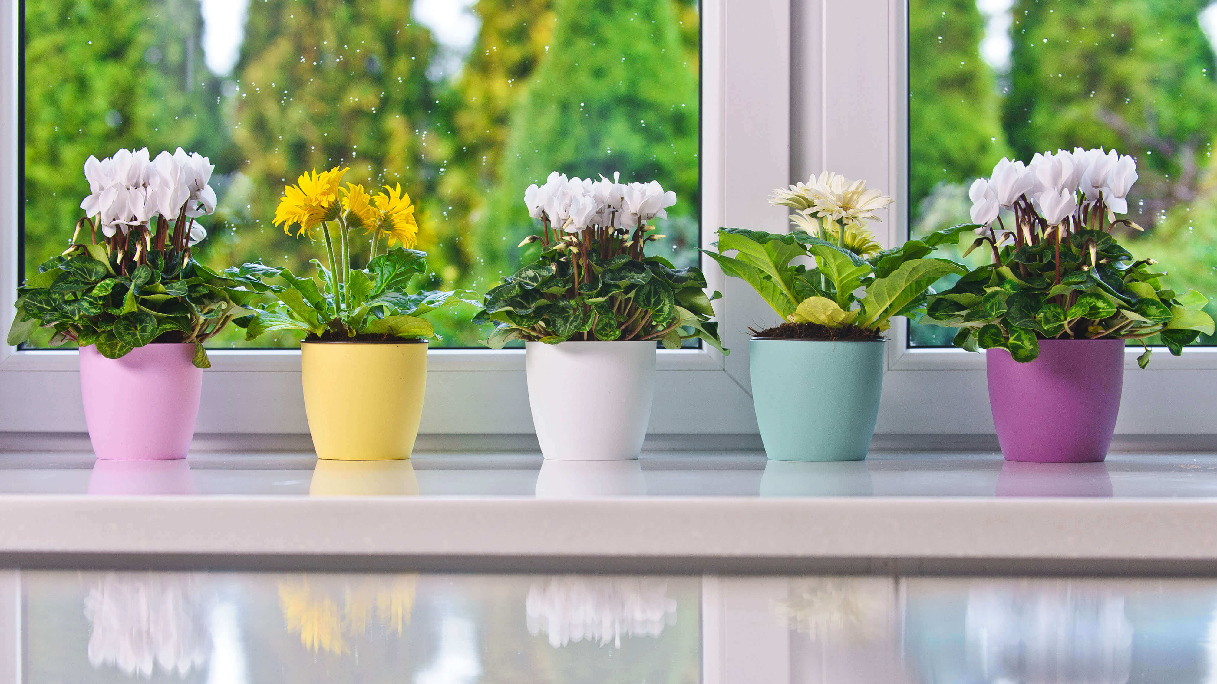 Doniczka Agen z podstawką 14 cm, matowa zielona