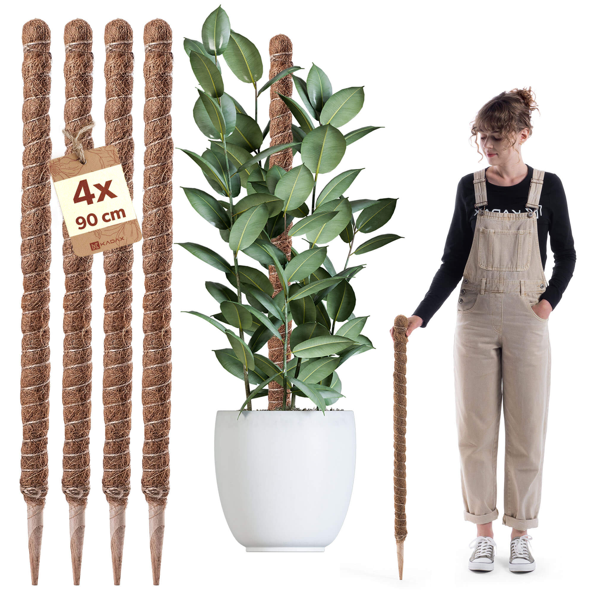 Tyczka do roślin kokosowa Cande 90 cm podpora doniczkowa 4 szt.