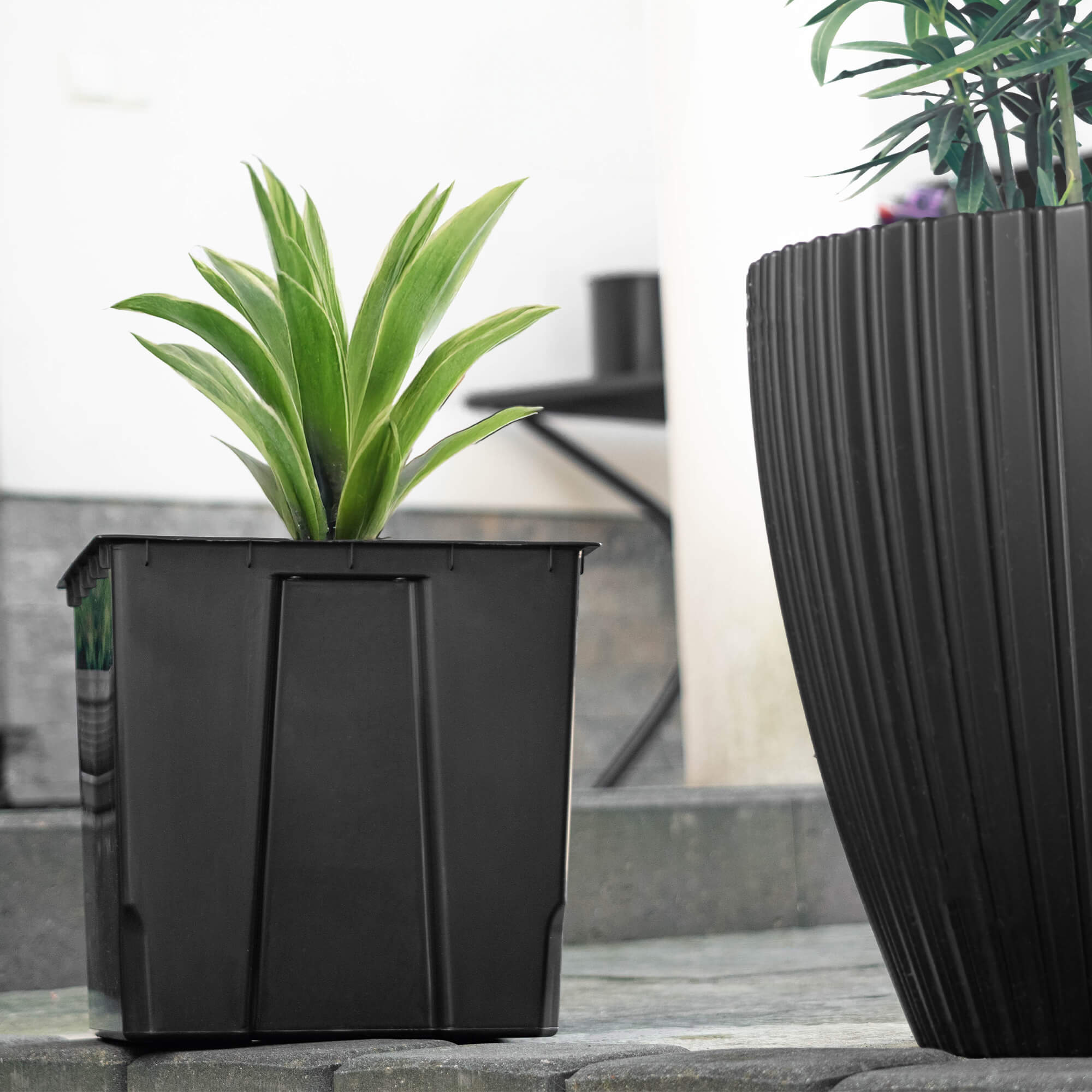 Wkład do doniczki Roisel 38.5 x 38.5 cm kwadratowy