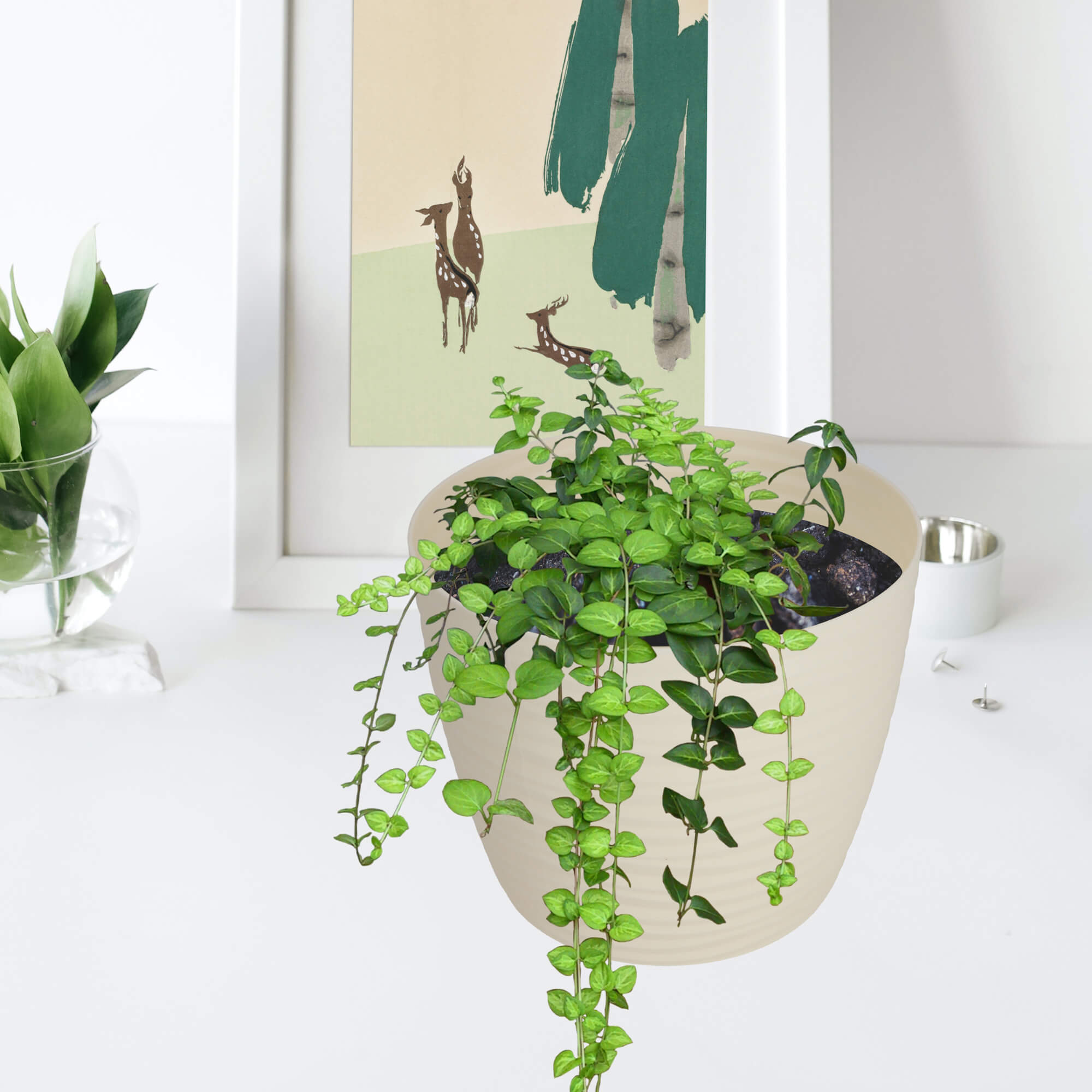 Doniczka na kwiaty okrągła z podstawką 17 cm, kremowa