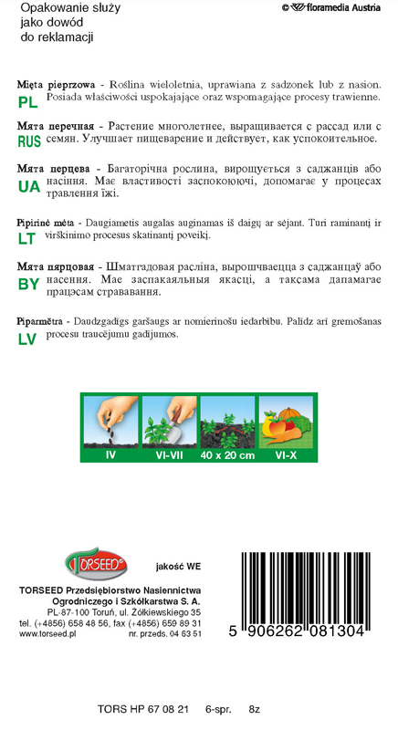 Mięta Mentha piperita 0,1g