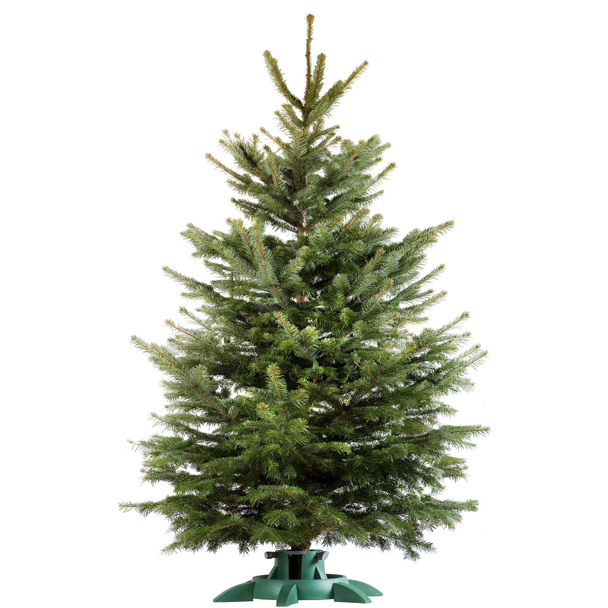 Stojak na choinkę 60cm zielony