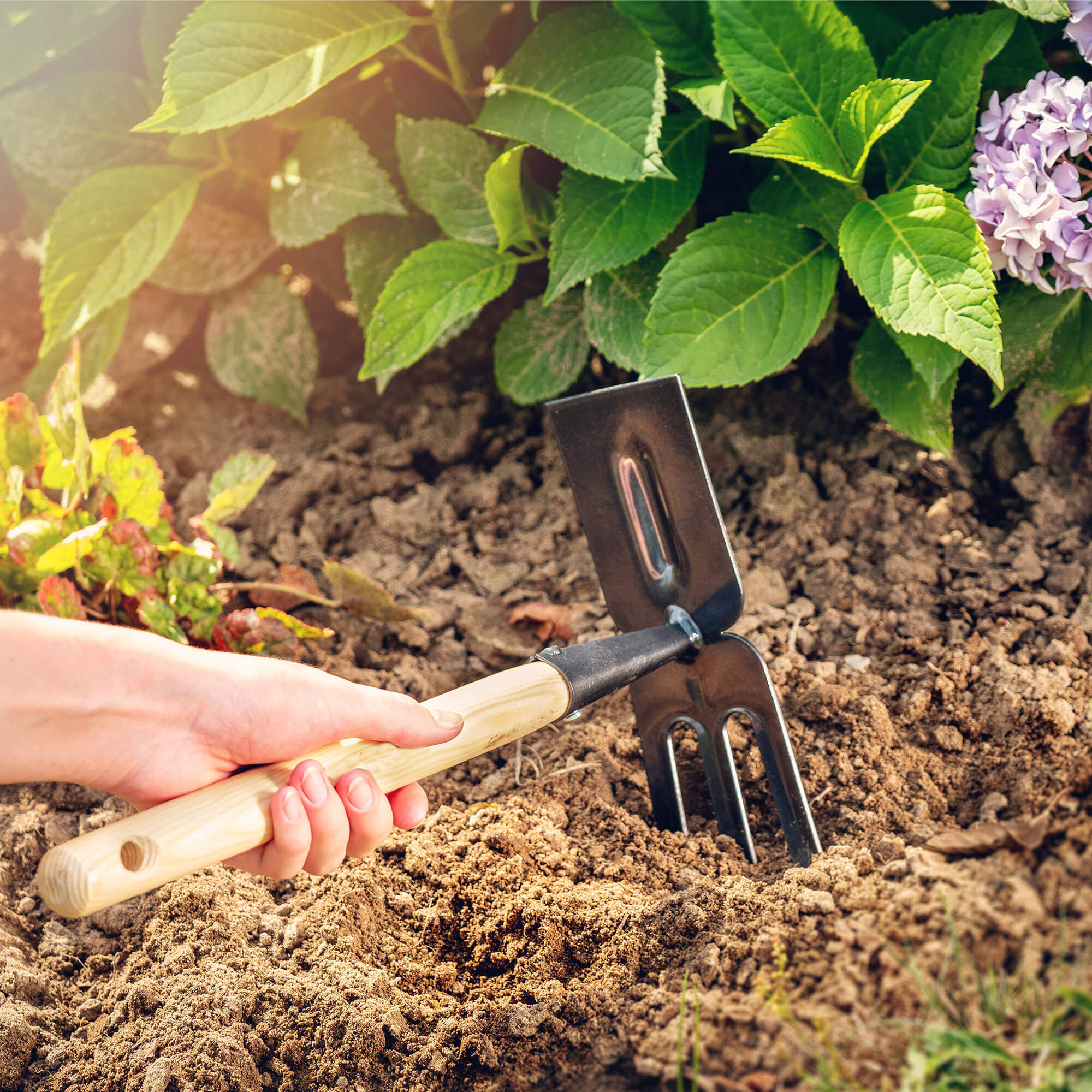 Motyczka do gleby 33 x 19 cm, czarny