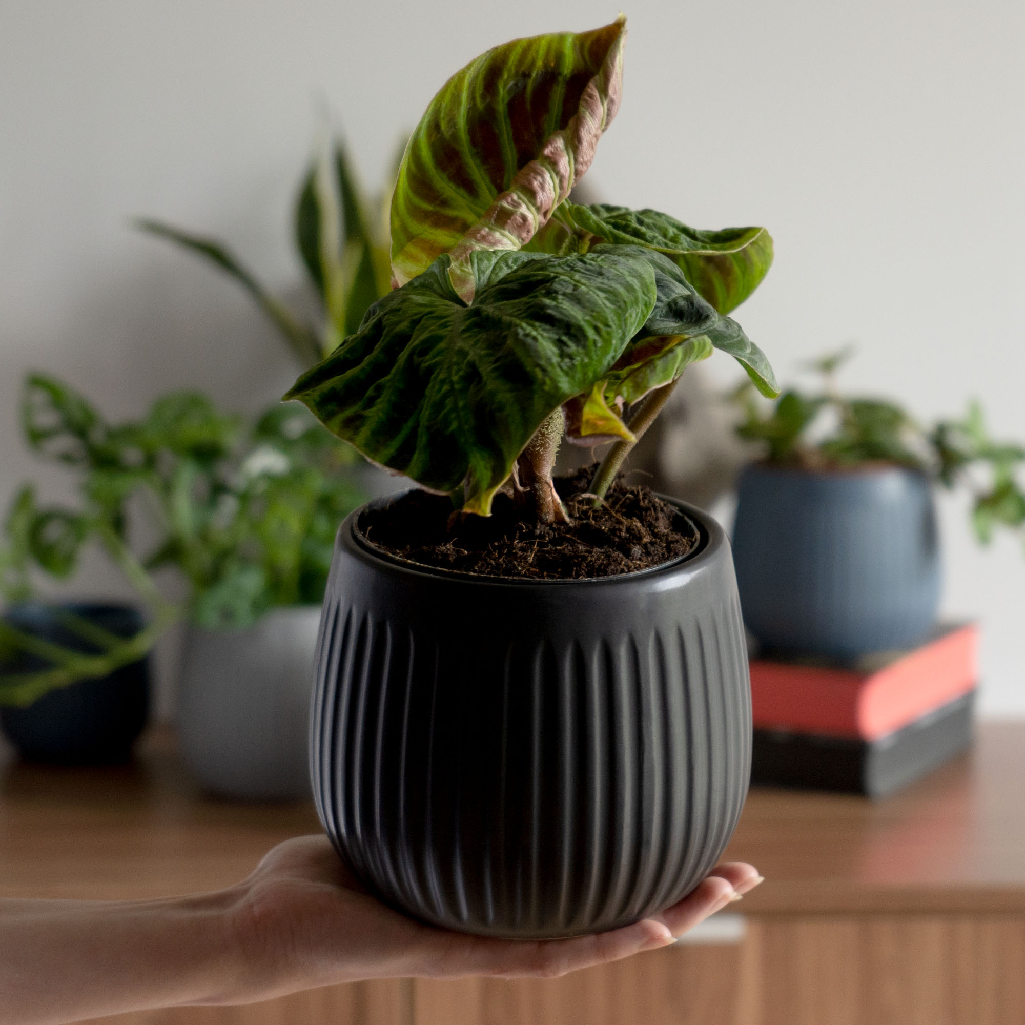 Osłonka ceramiczna Vario 14 cm, czarna