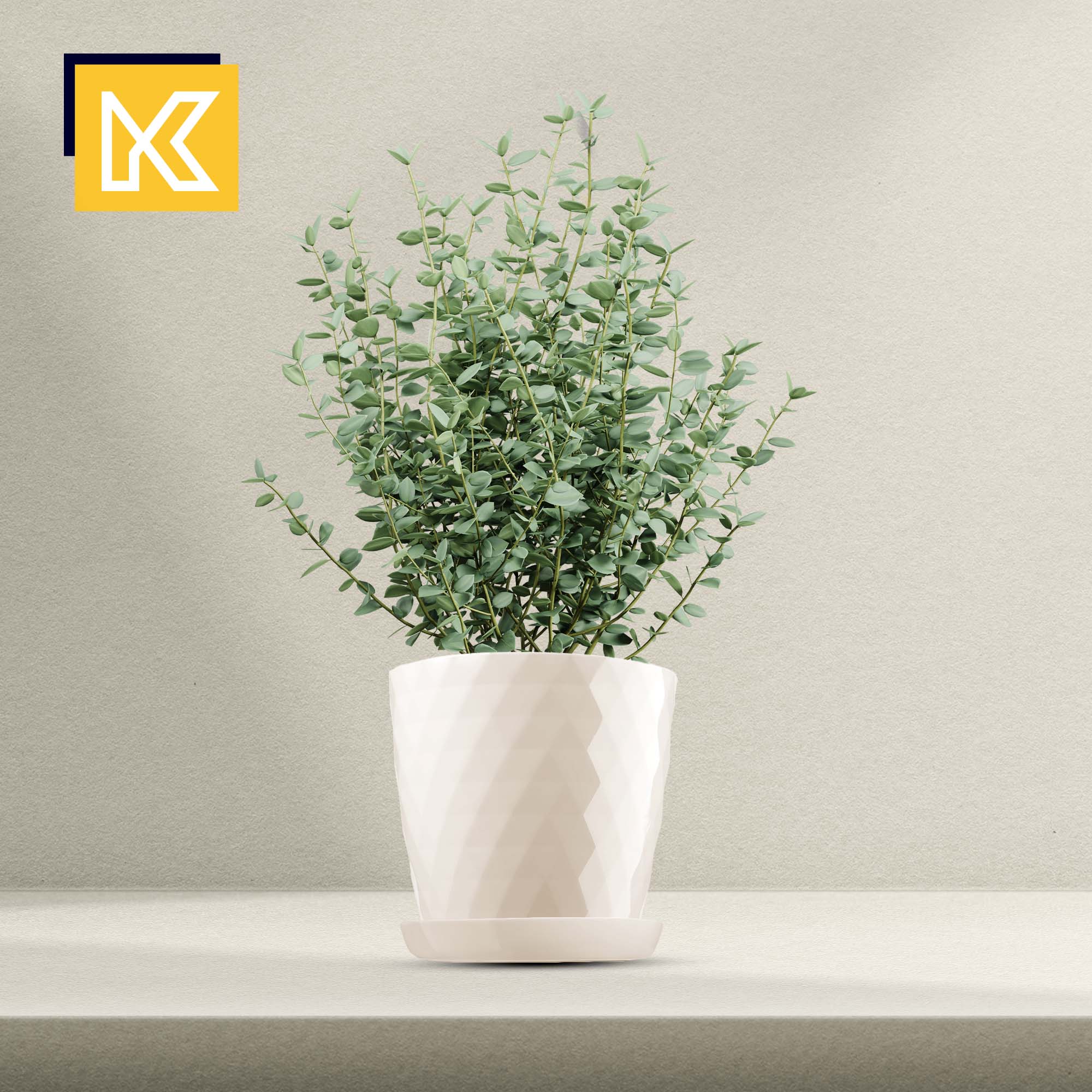 Doniczka na kwiaty z podstawką kremowa Amily 25 cm, 3 szt.