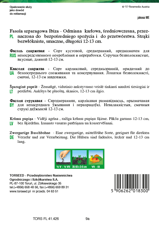Fasola zwykła karłowa szparagowa zielonostrąkowa Ibiza 20g