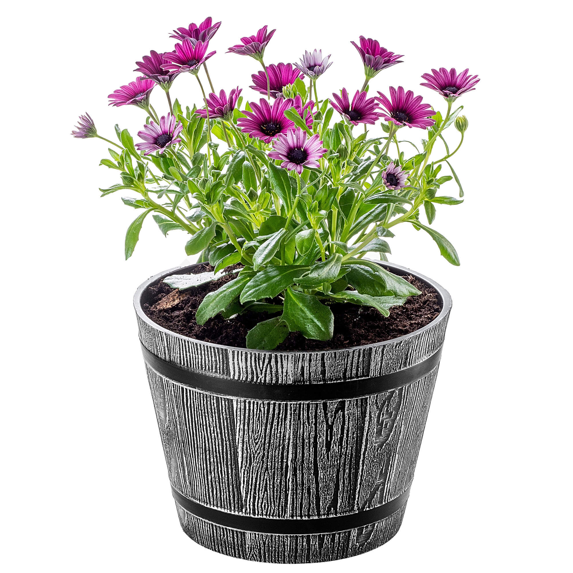 Donica na kwiaty Sori 23 cm, jasny szary