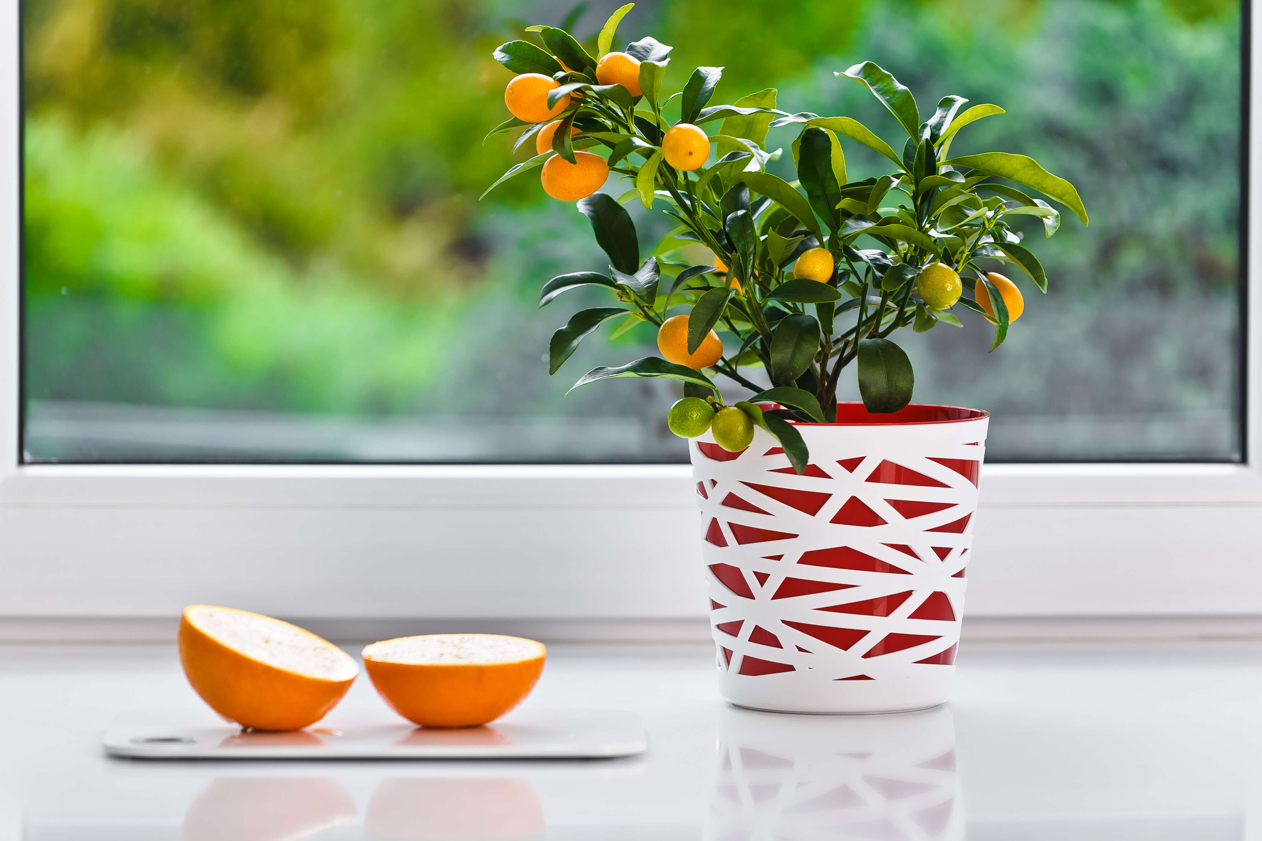 Doniczka z wkładem Rusio 15 cm, czerwona