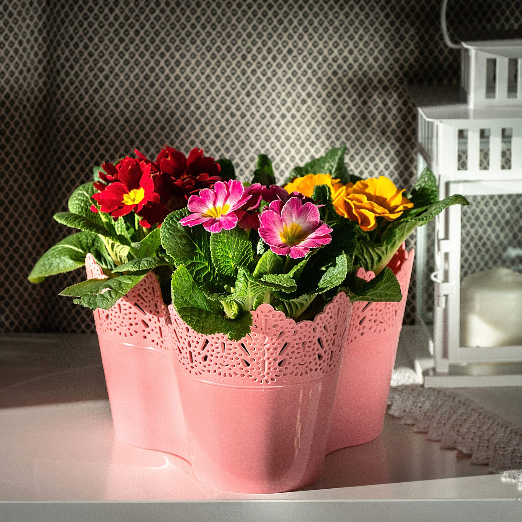 Doniczka Calade na kwiaty z koronką potrójna 15 x 24 cm, koralowa