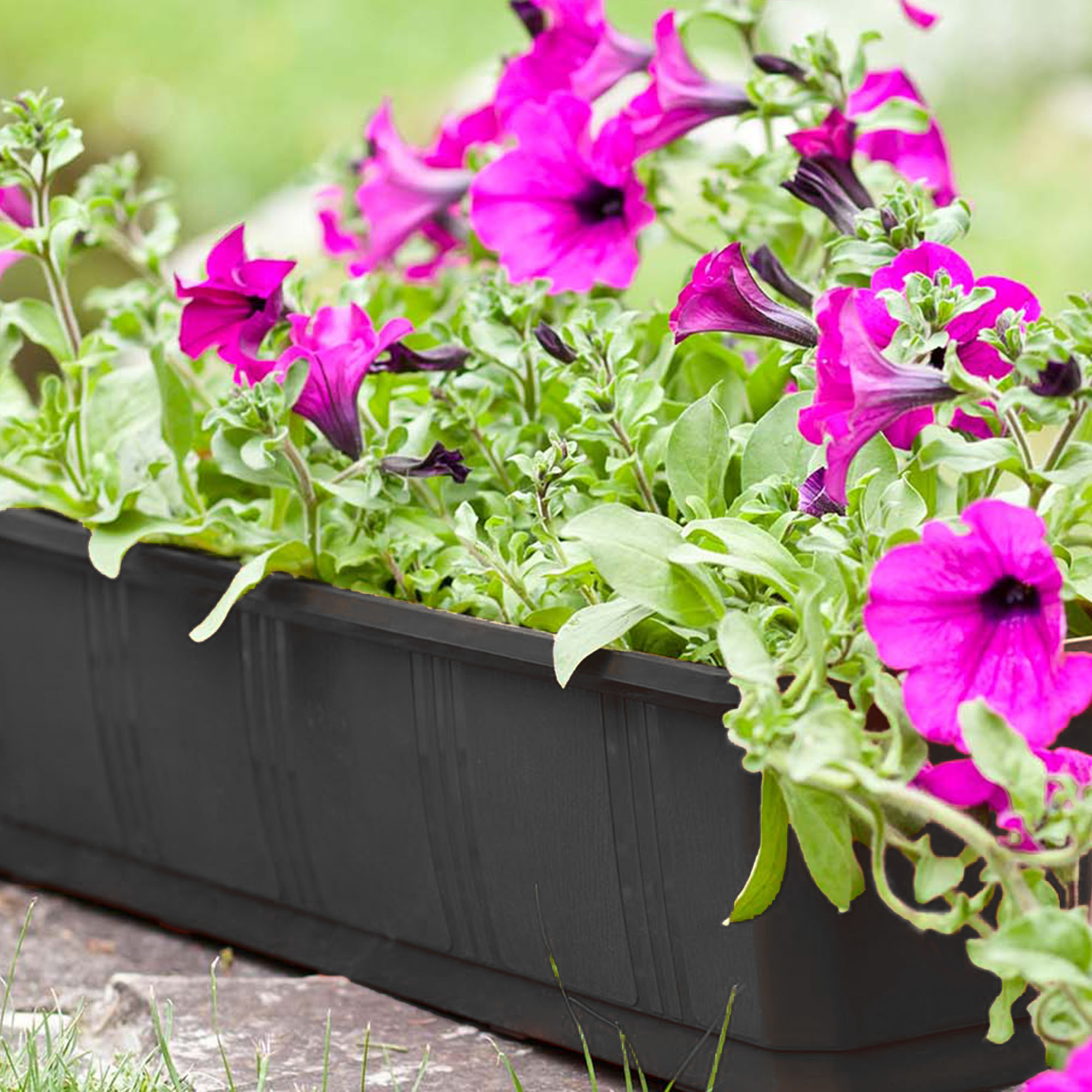 Doniczka balkonowa z uchwytami Oste 40 cm + 60 cm, grafit